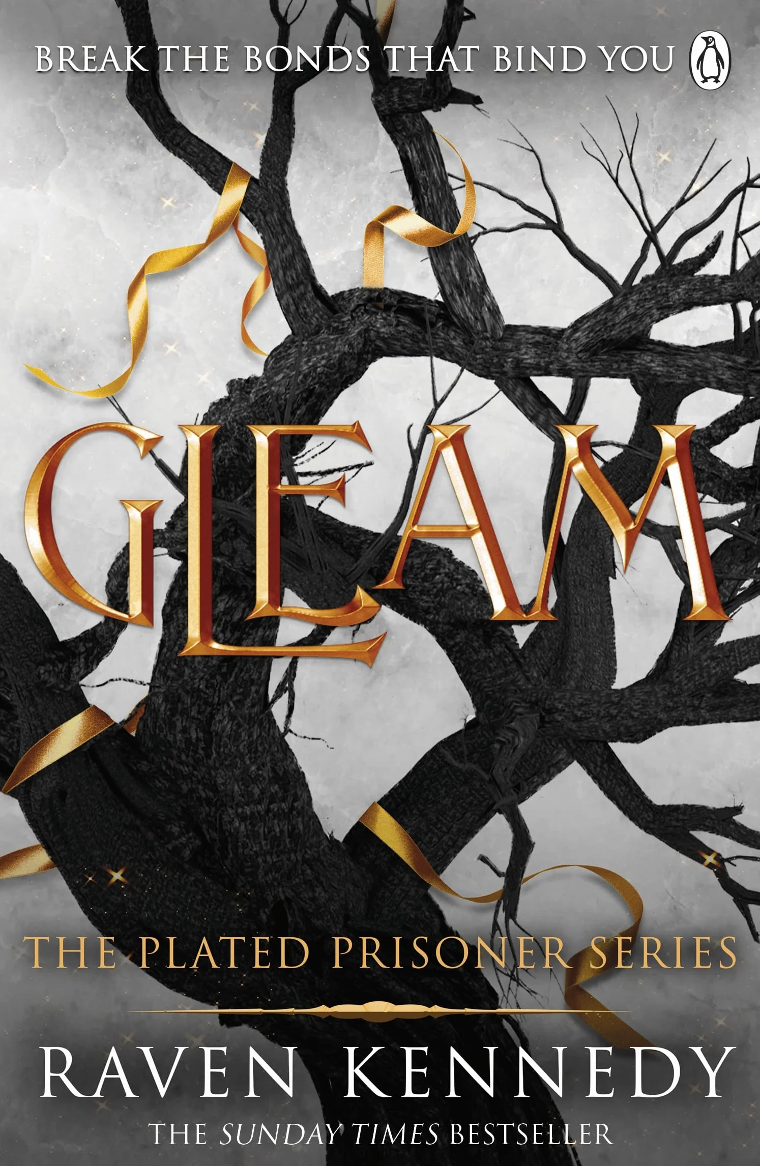 Gleam: The dark fantasy romance TikTok sensation that’s sold over a million copies: 3