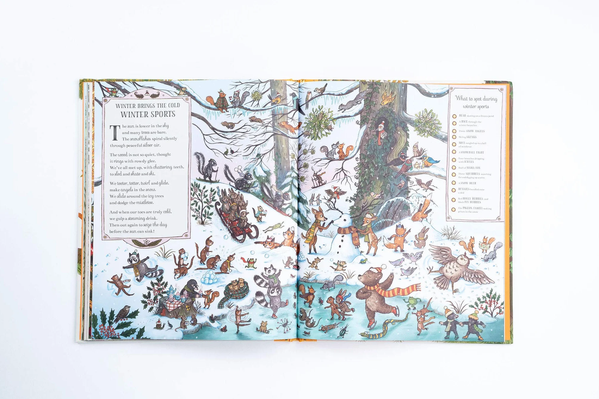 If You Go Down to the Woods Today: More than 100 things to find