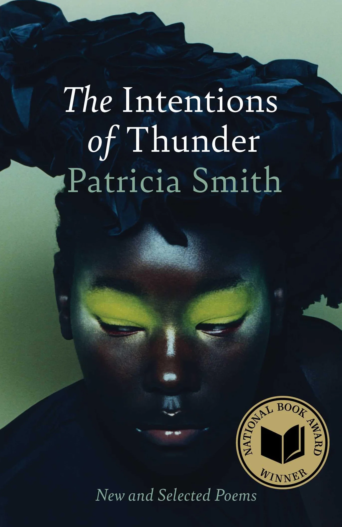 The Intentions of Thunder: New and Selected Poems