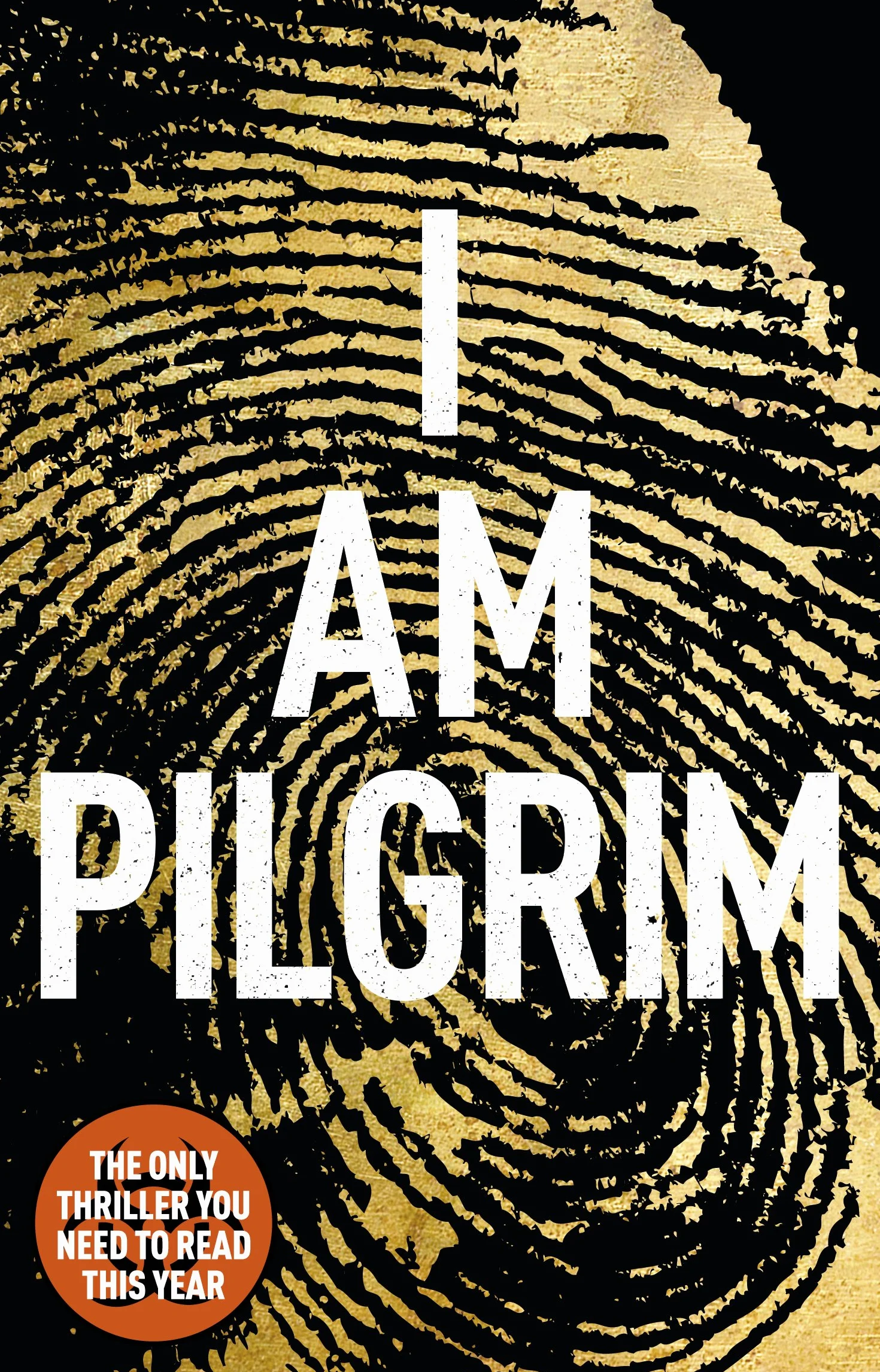 I Am Pilgrim: Terry Hayes