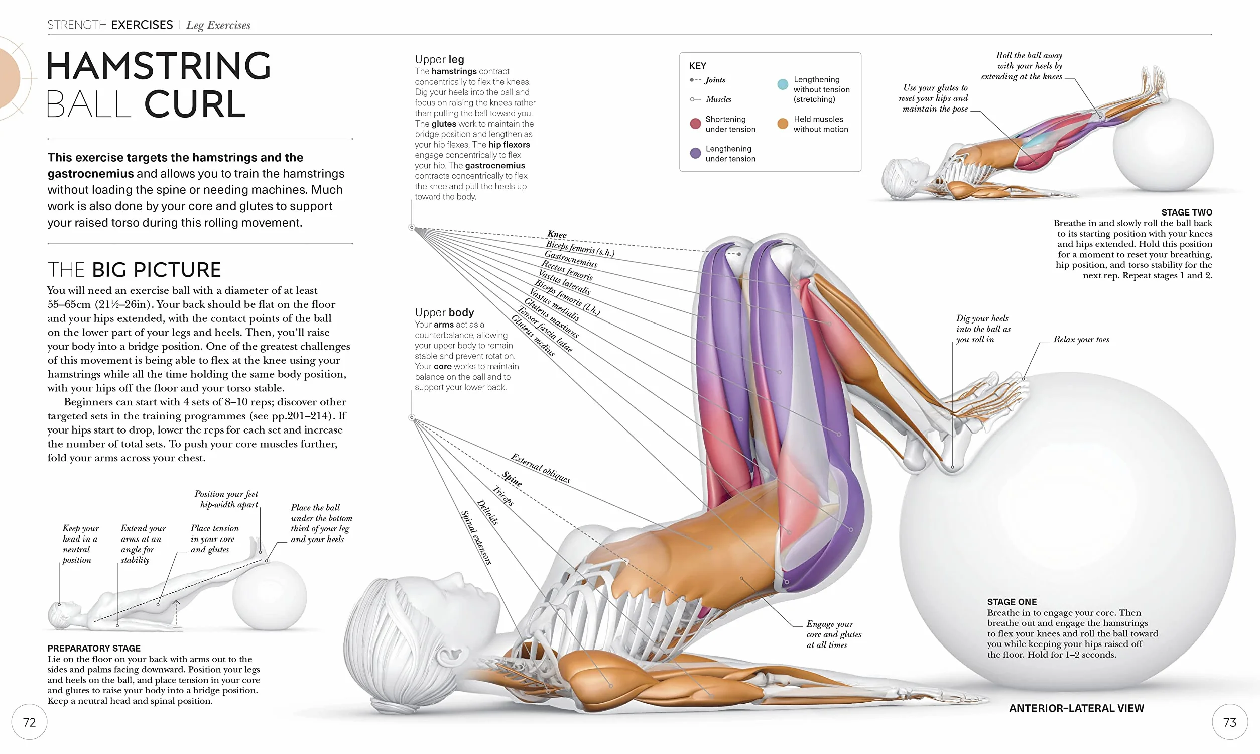 Science of Strength Training: Understand the Anatomy and Physiology to Transform Your Body