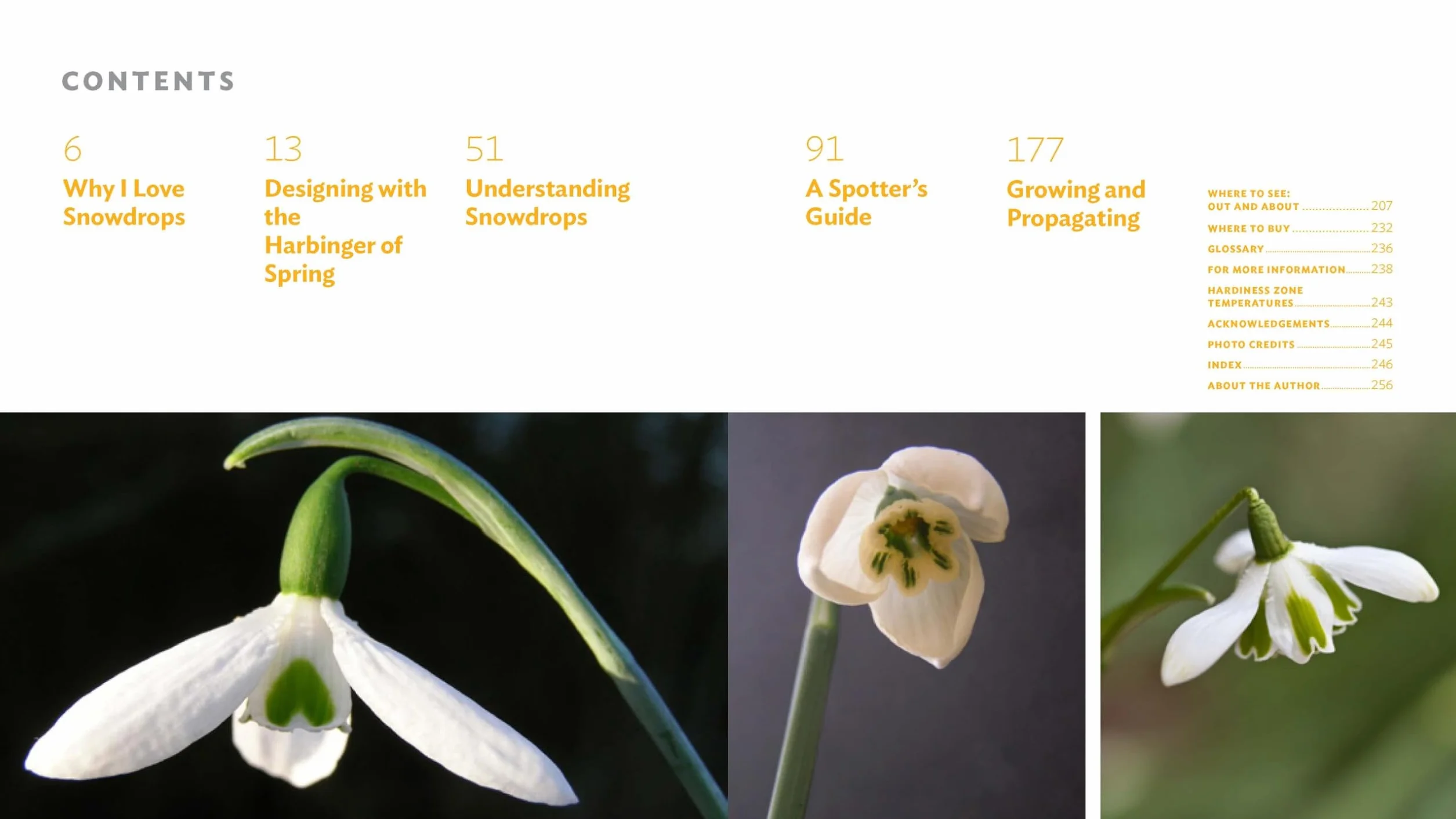 The Plant Lover's Guide to Snowdrops