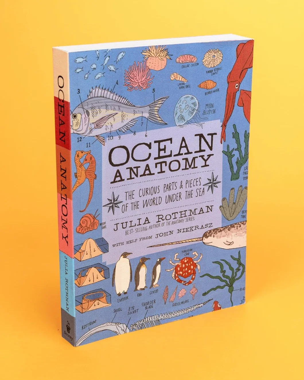 Ocean Anatomy: The Curious Parts & Pieces of the World Under the Sea: 1