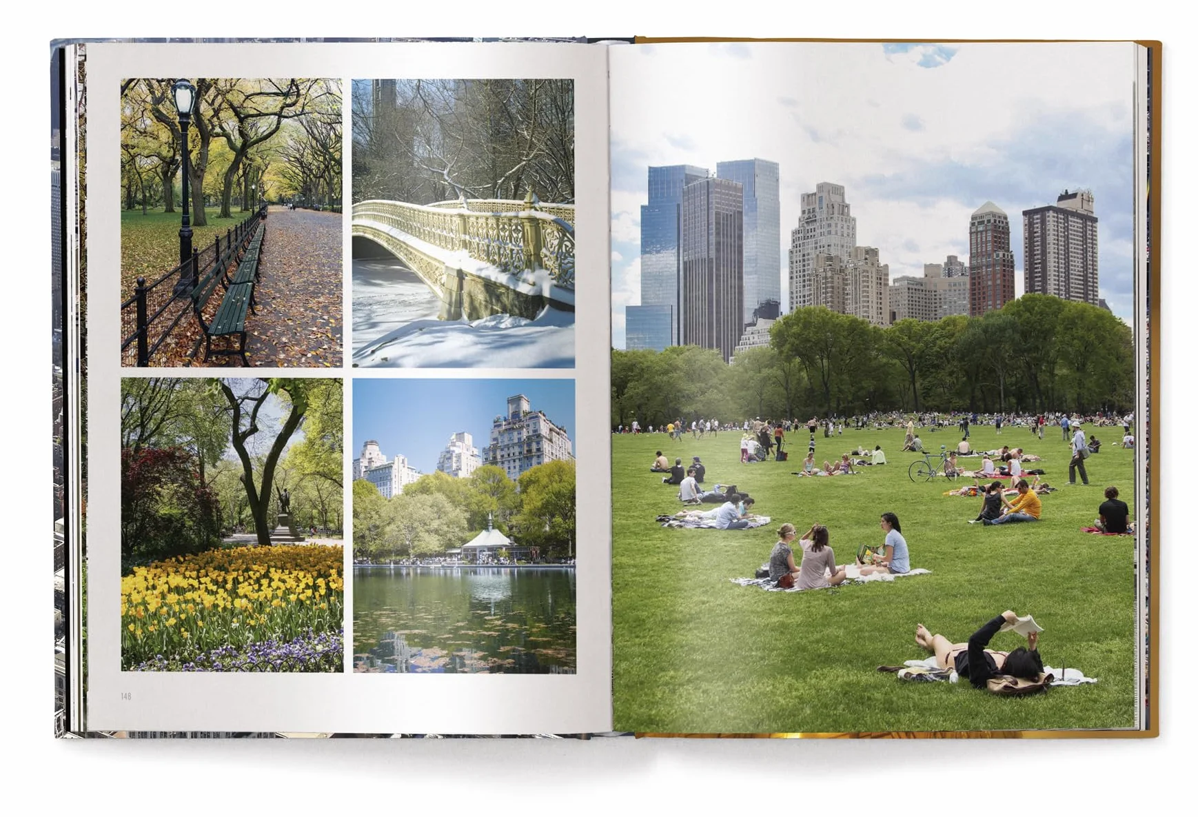 Christopher Bliss Iconic New York (New ed) /anglais: Revised Edition