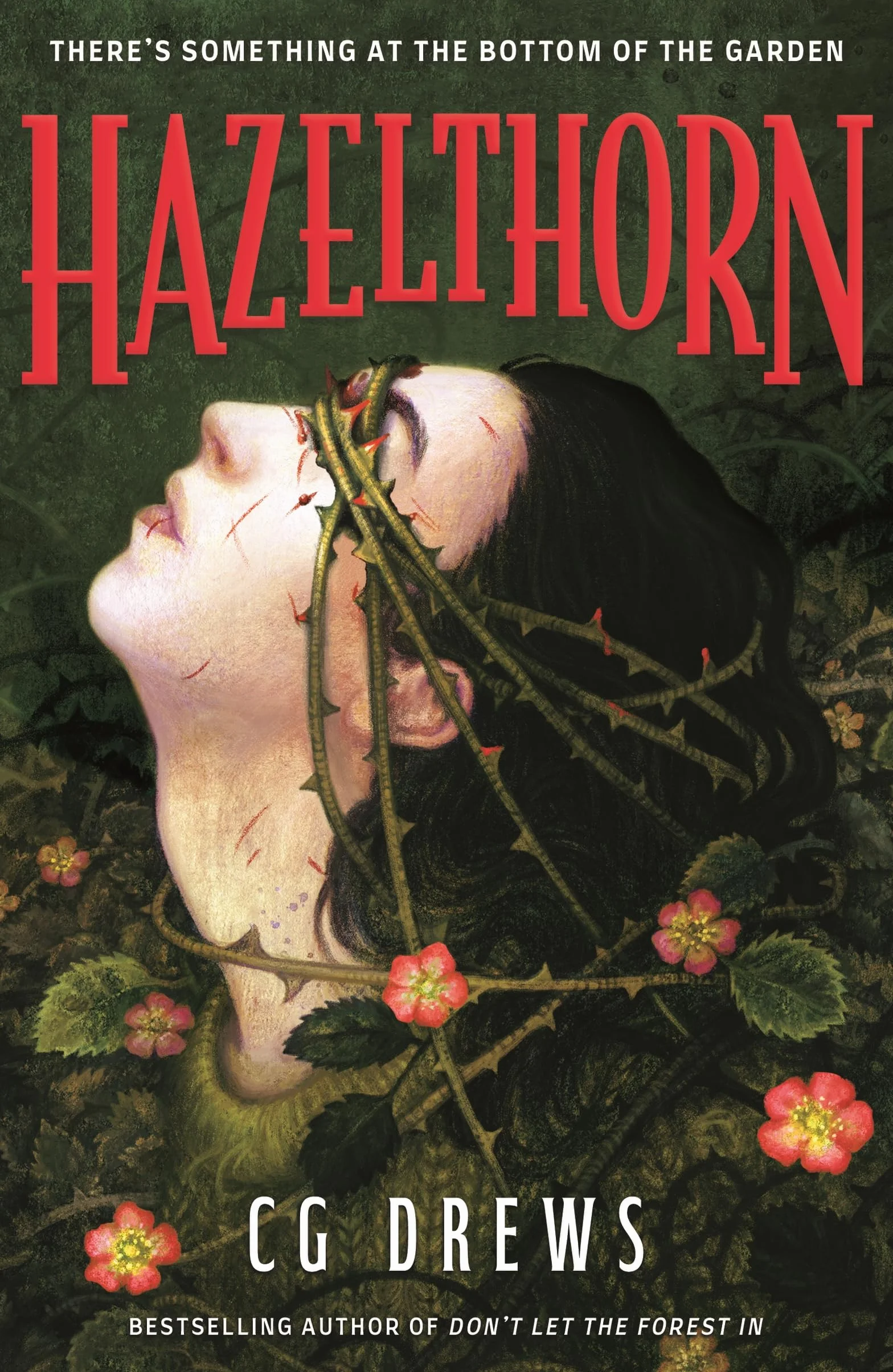 Hazelthorn: Gorgeously gothic queer YA horromance from the NYT bestselling author of Don't Let the Forest In
