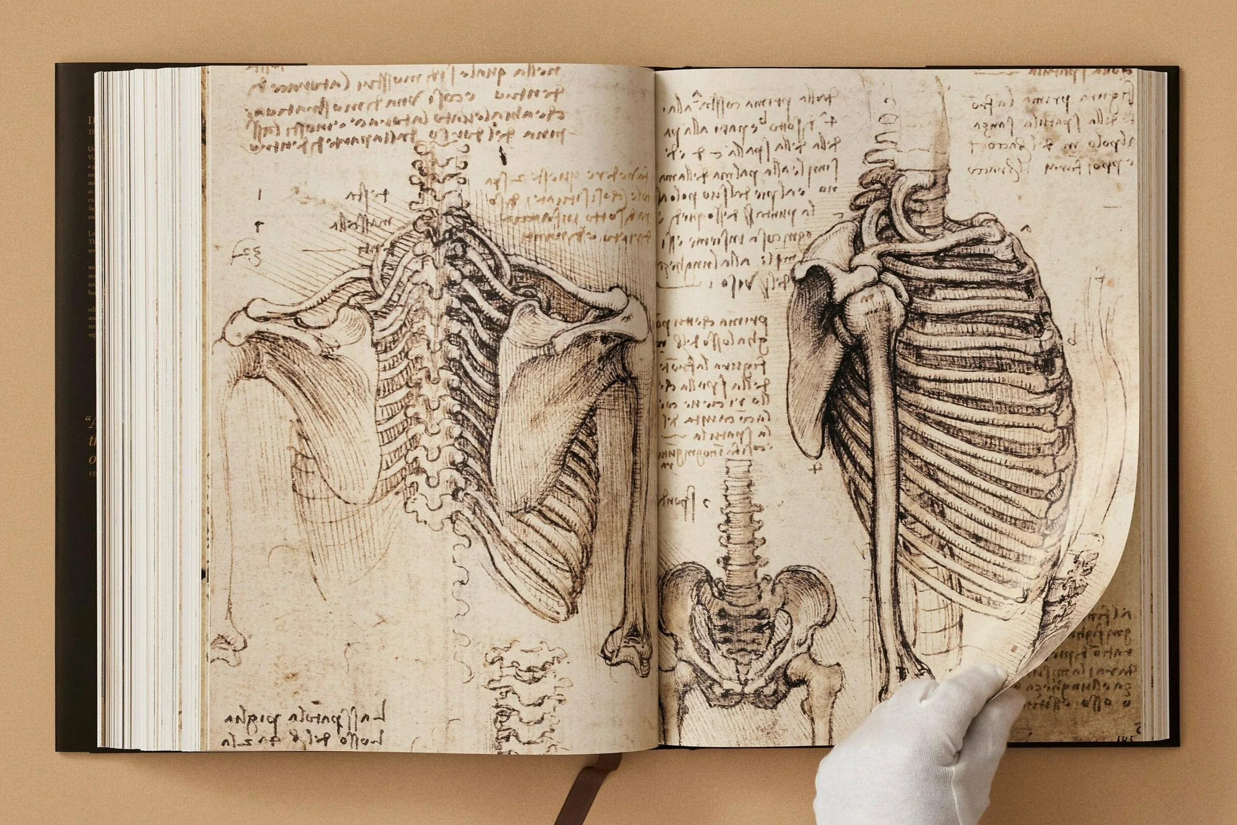 Leonardo. the Complete Paintings and Drawings