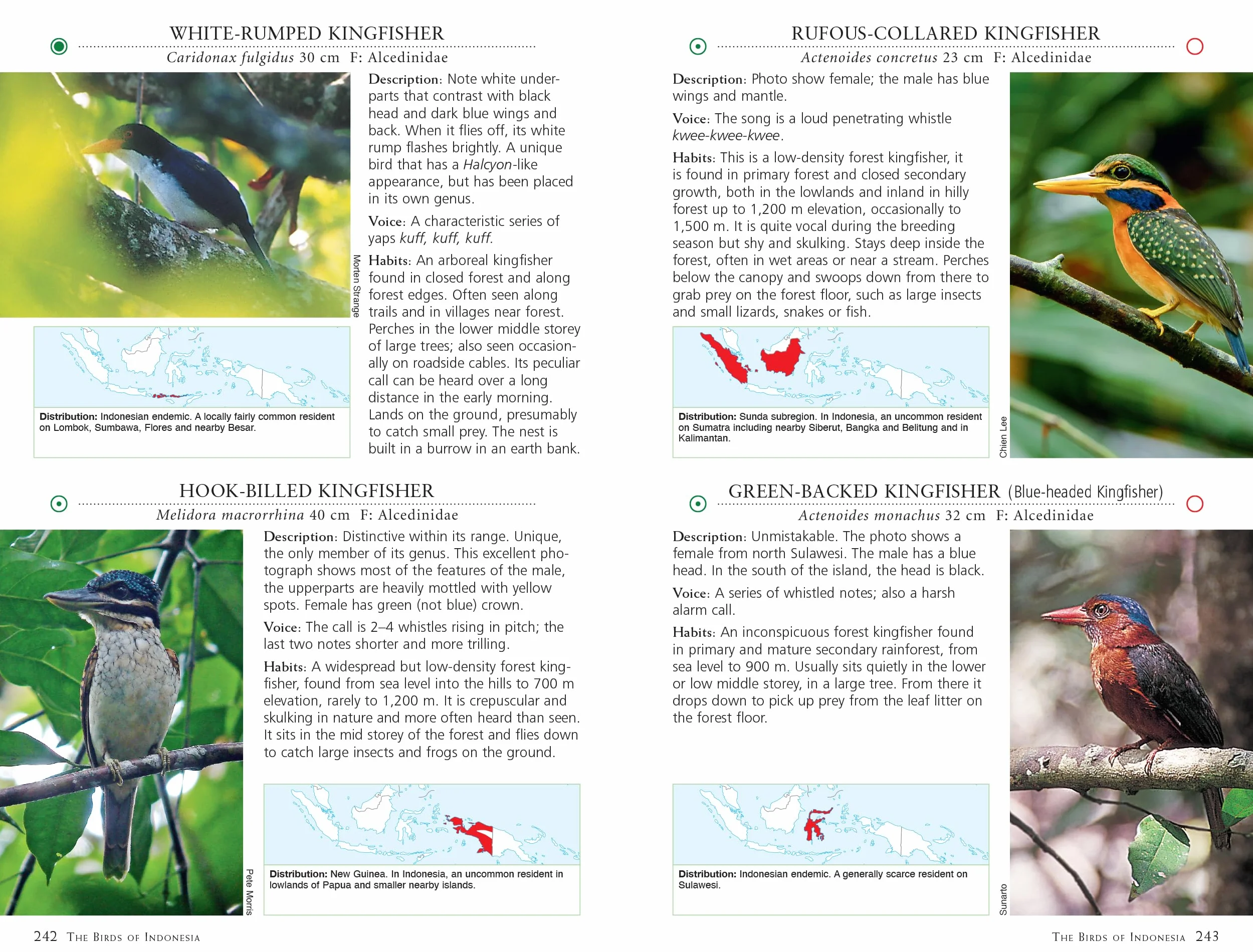 A Photographic Guide to the Birds of Indonesia: Updated Second Edition