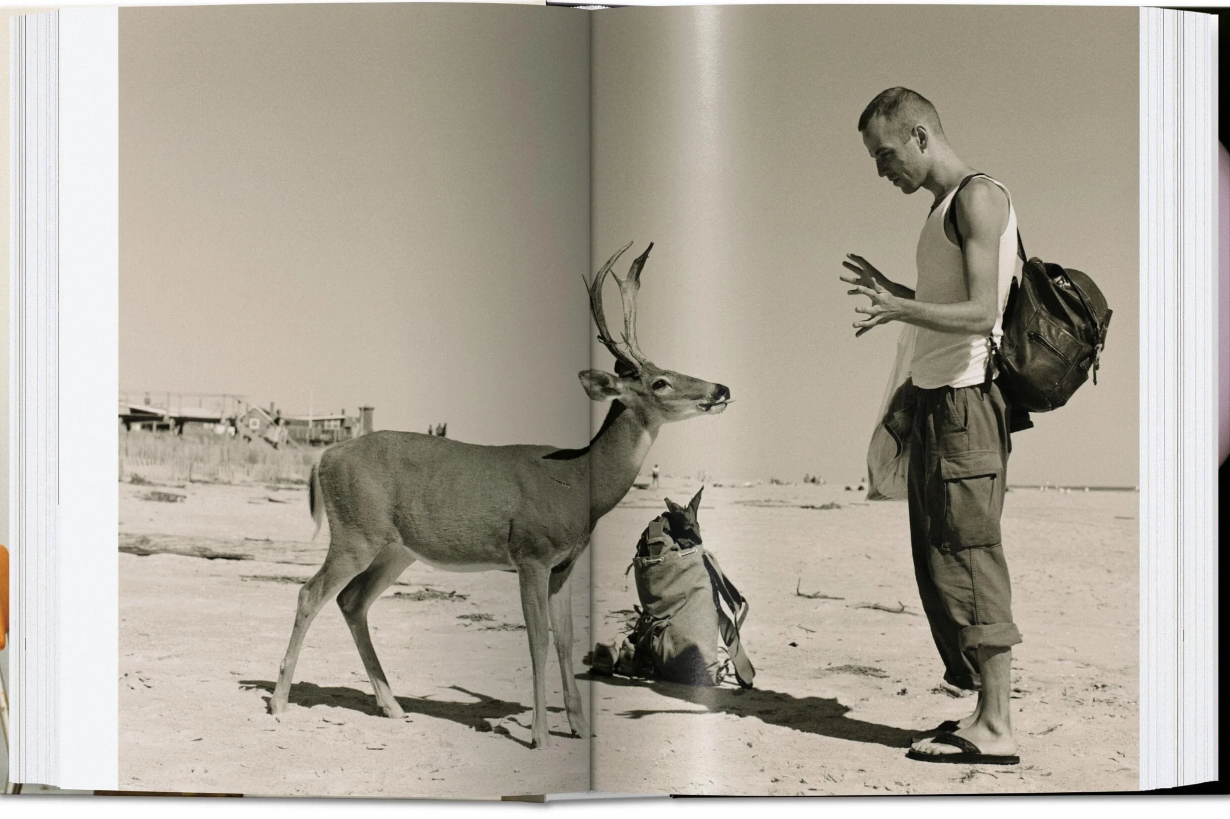 Wolfgang Tillmans. Four Books. 45th Ed.