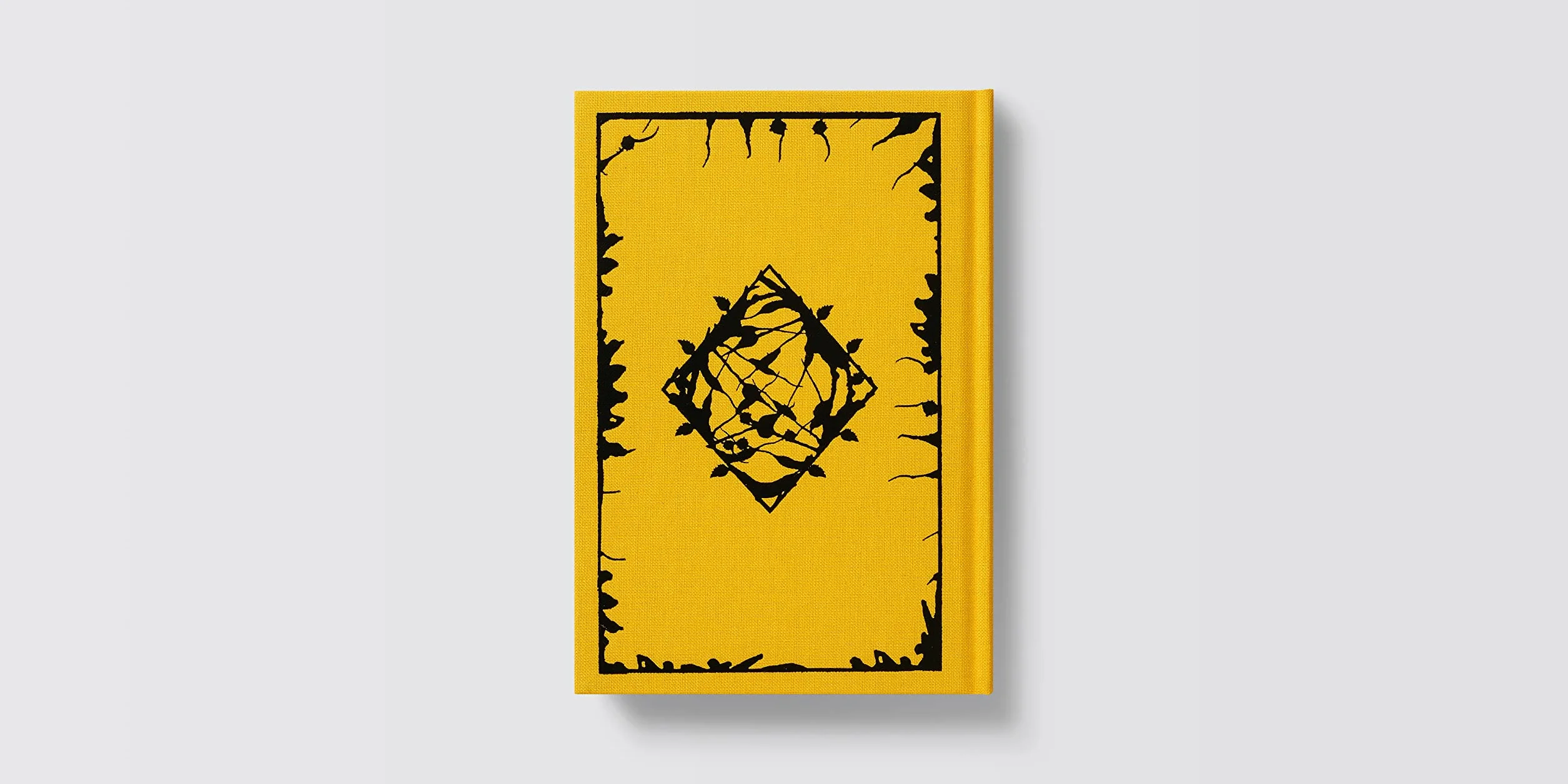 Metamorphosis: Franz Kafka