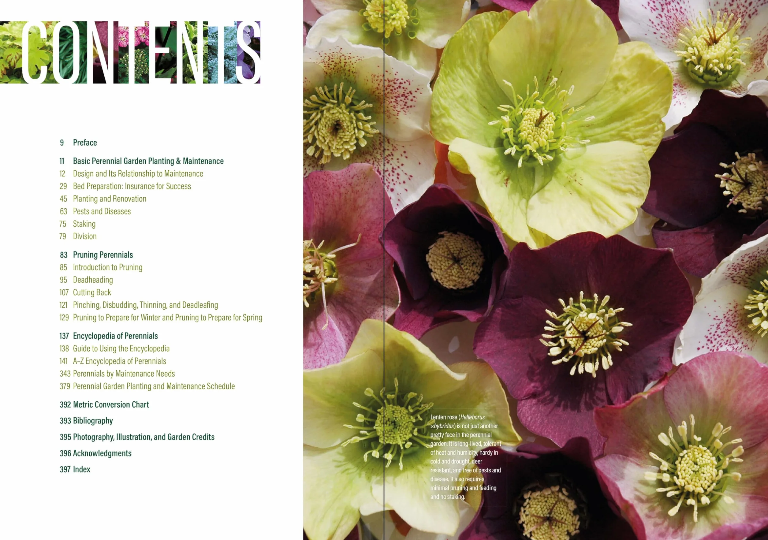 The Well-Tended Perennial Garden: The Essential Guide to Planting and Pruning Techniques, Third Edition