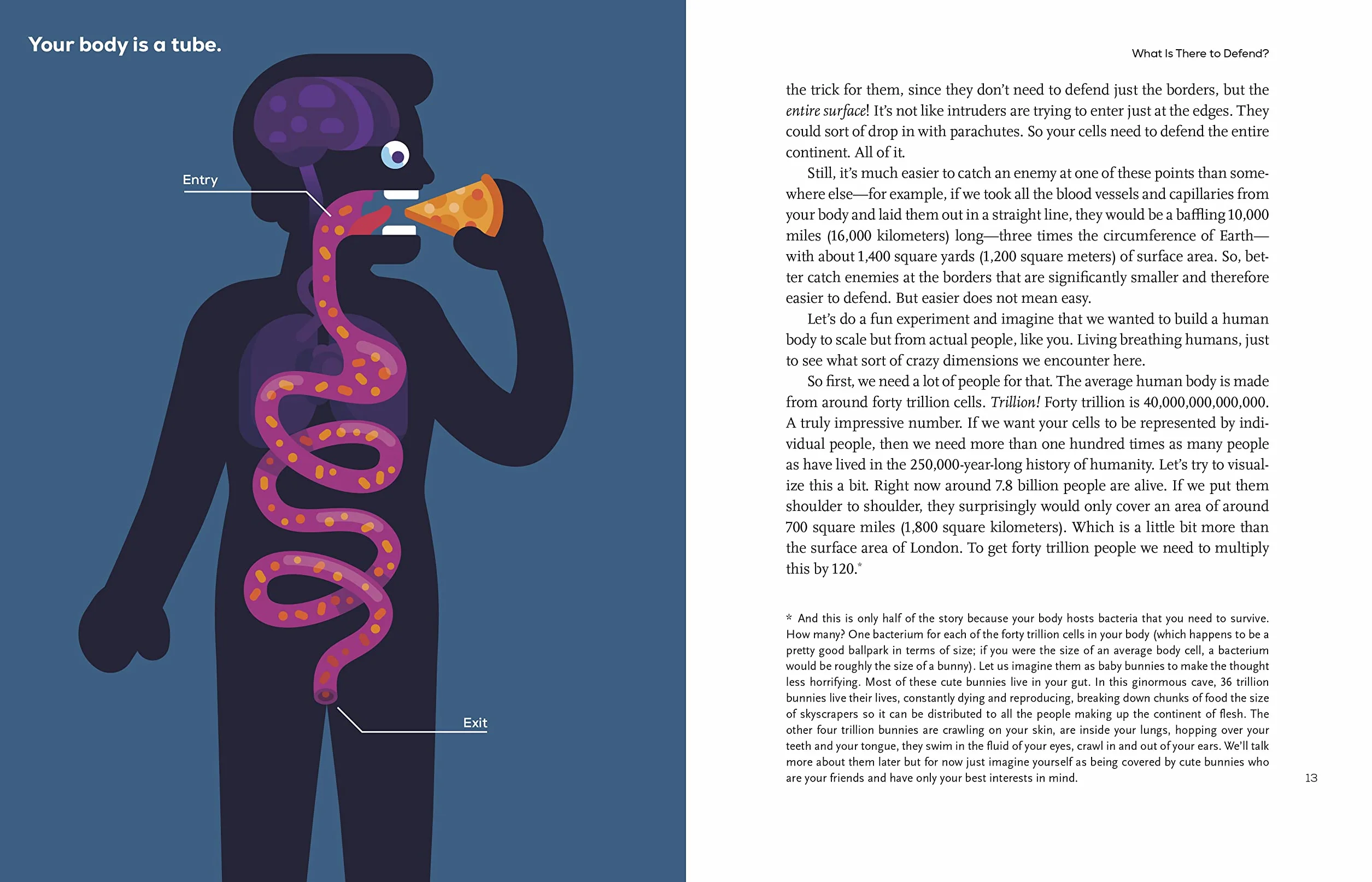 Immune: A Journey into the Mysterious System That Keeps You Alive