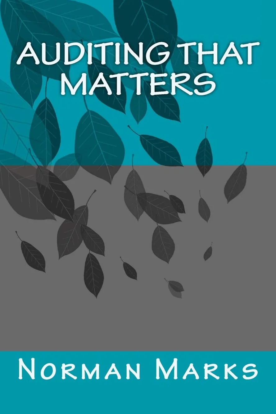 Auditing that matters