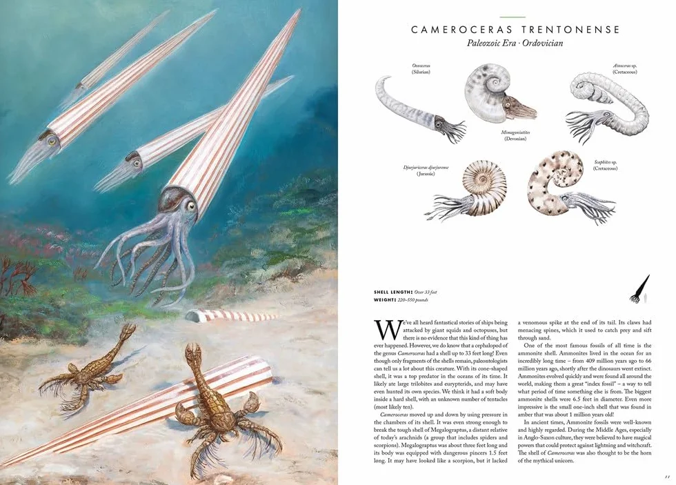Atlas of Prehistoric Animals: 4
