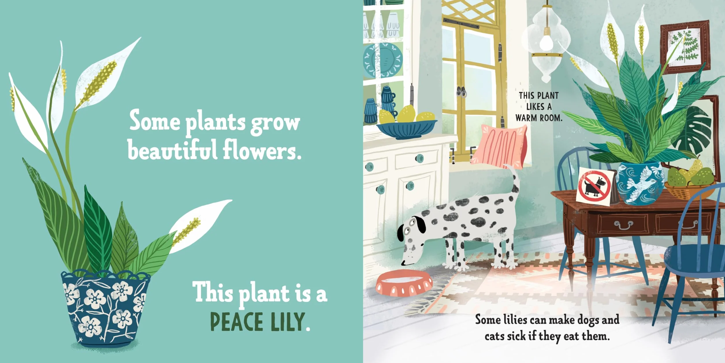 My First Book of Houseplants