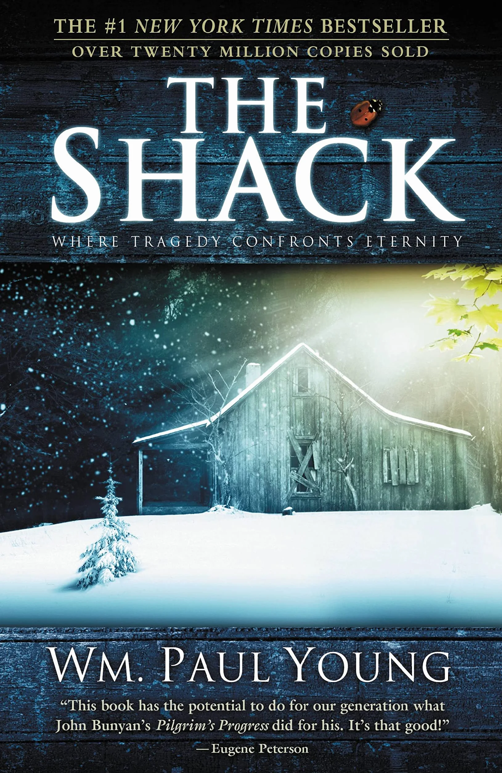 The Shack: Where Tragedy Confronts Eternity
