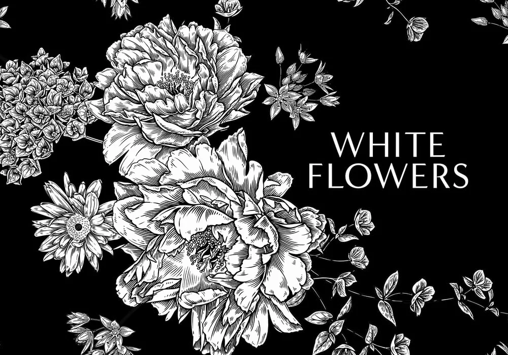 Kew - Fragrance: From Plant to Perfume, the Botanical Origins of Scent