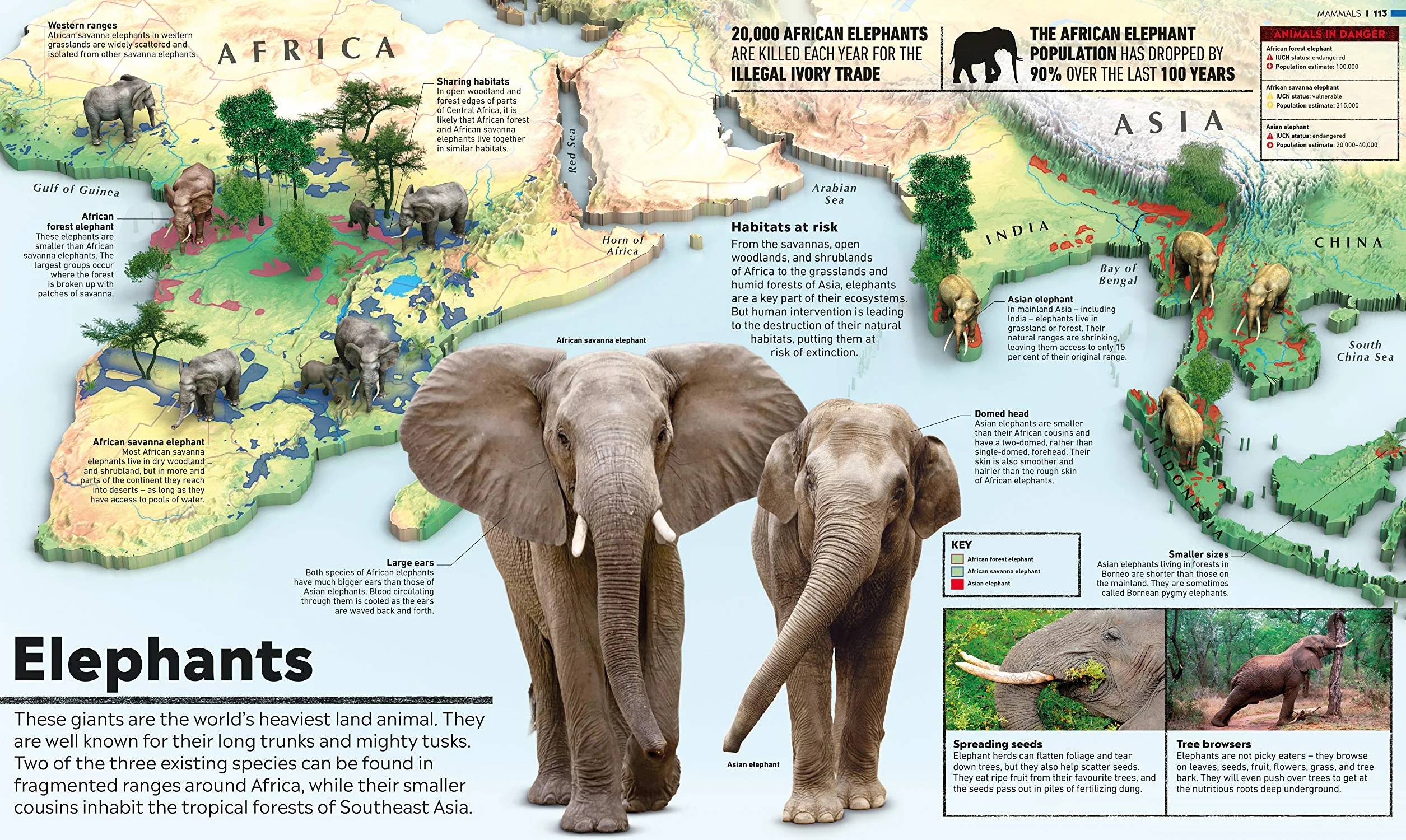 What's Where on Earth? Animal Atlas: The World's Wildlife as You've Never Seen it Before