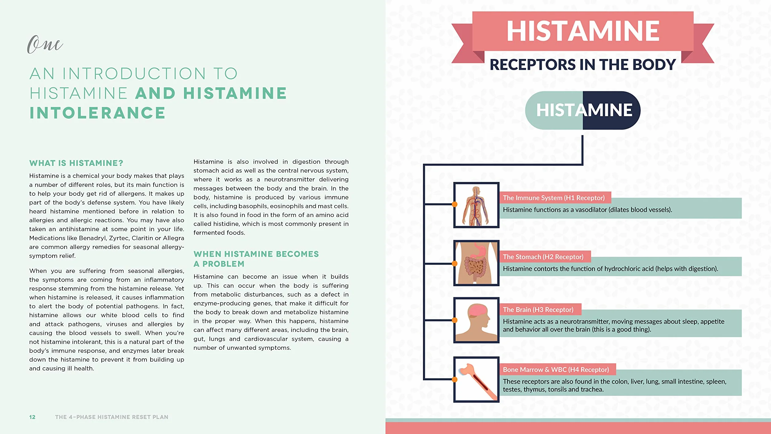 The 4-Phase Histamine Reset Plan: Getting to the Root of Migraines, Eczema, Vertigo, Allergies and More