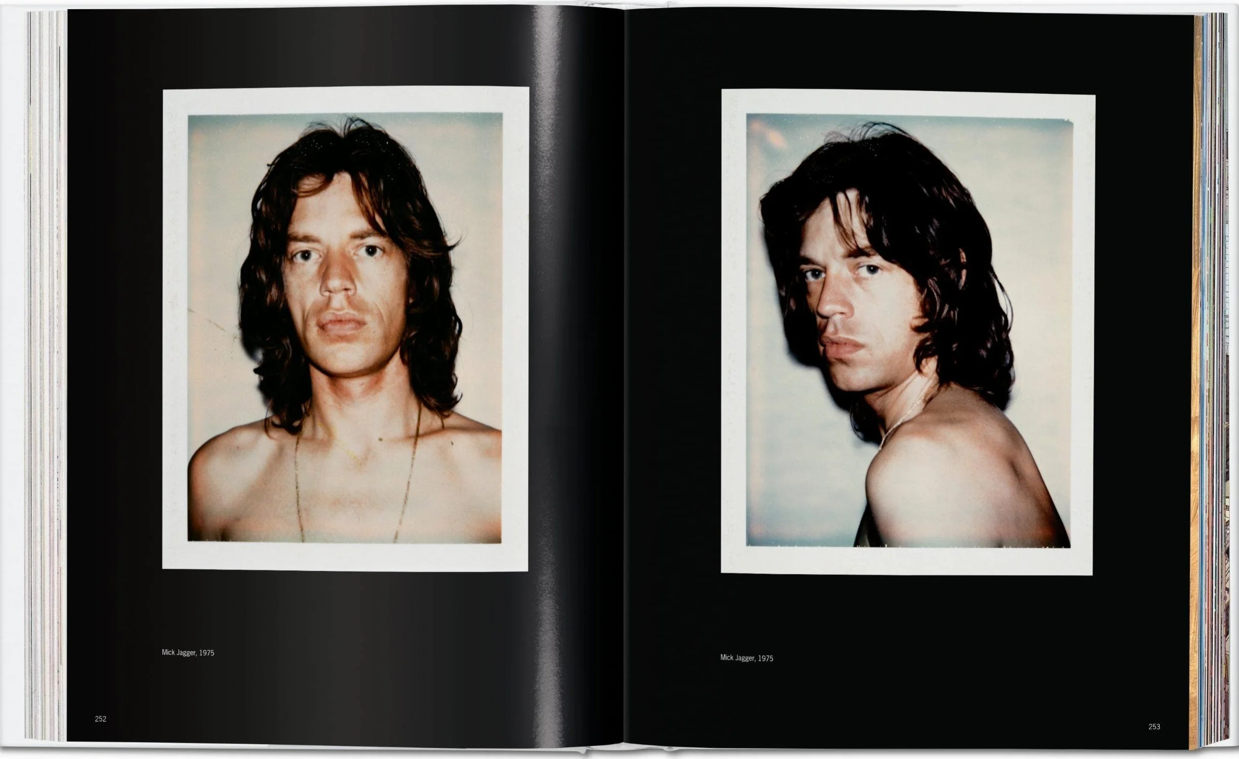 Andy Warhol: Polaroids 1958-1987