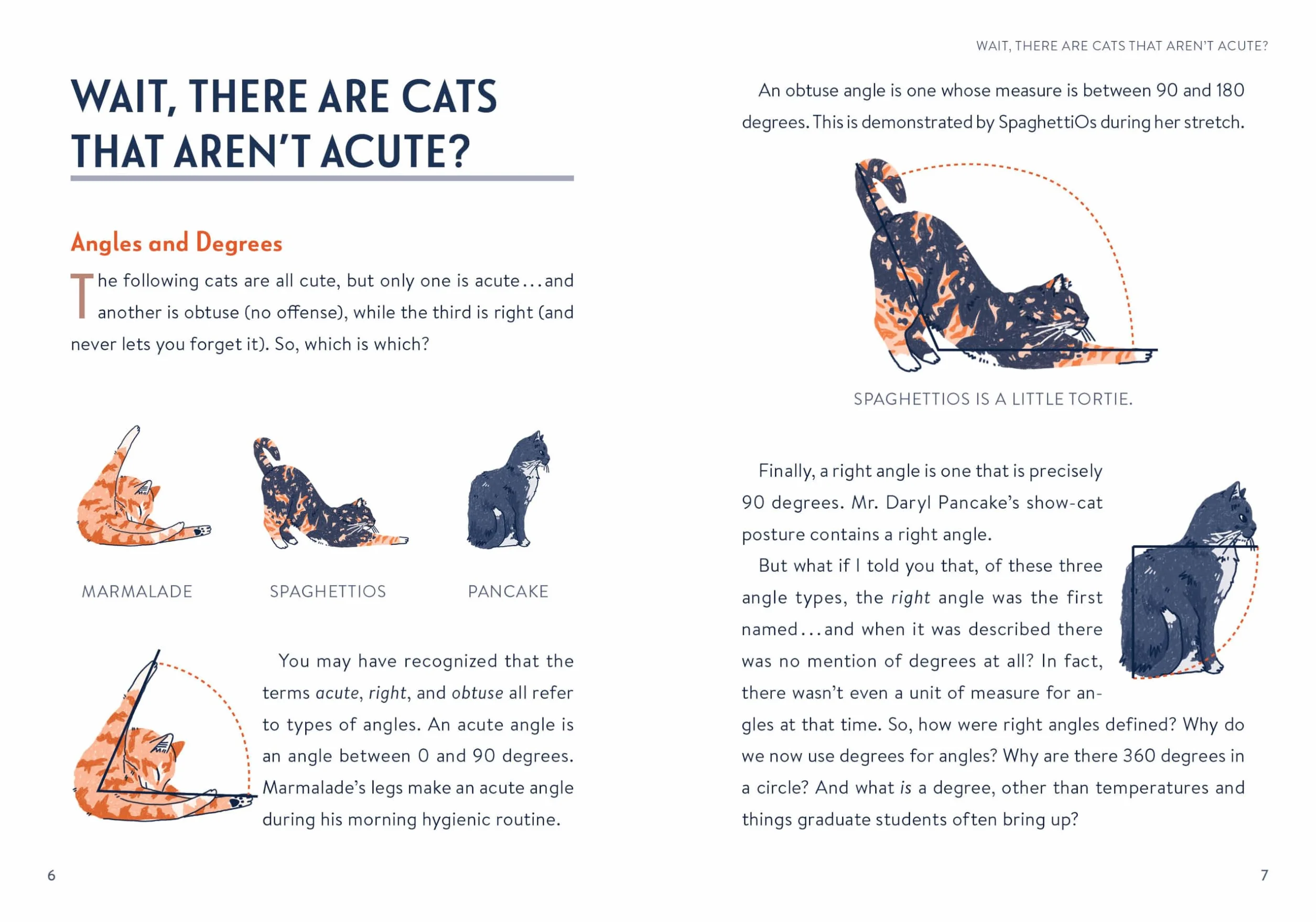 Math Cats: Scratching the Surface of Mathematical Concepts