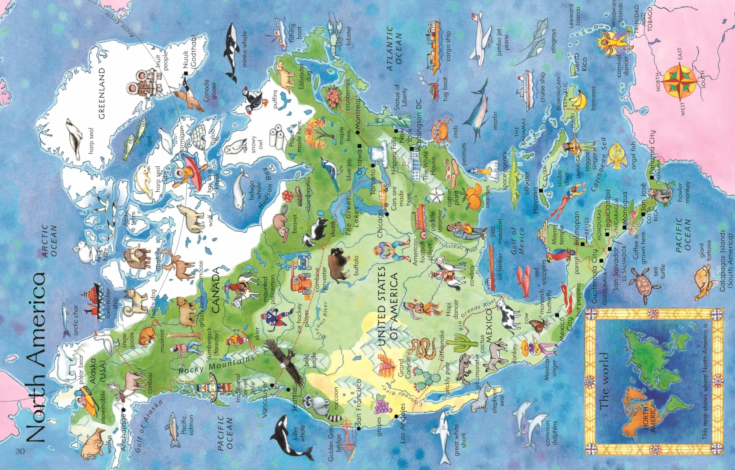 The Usborne Children's Picture Atlas: 1