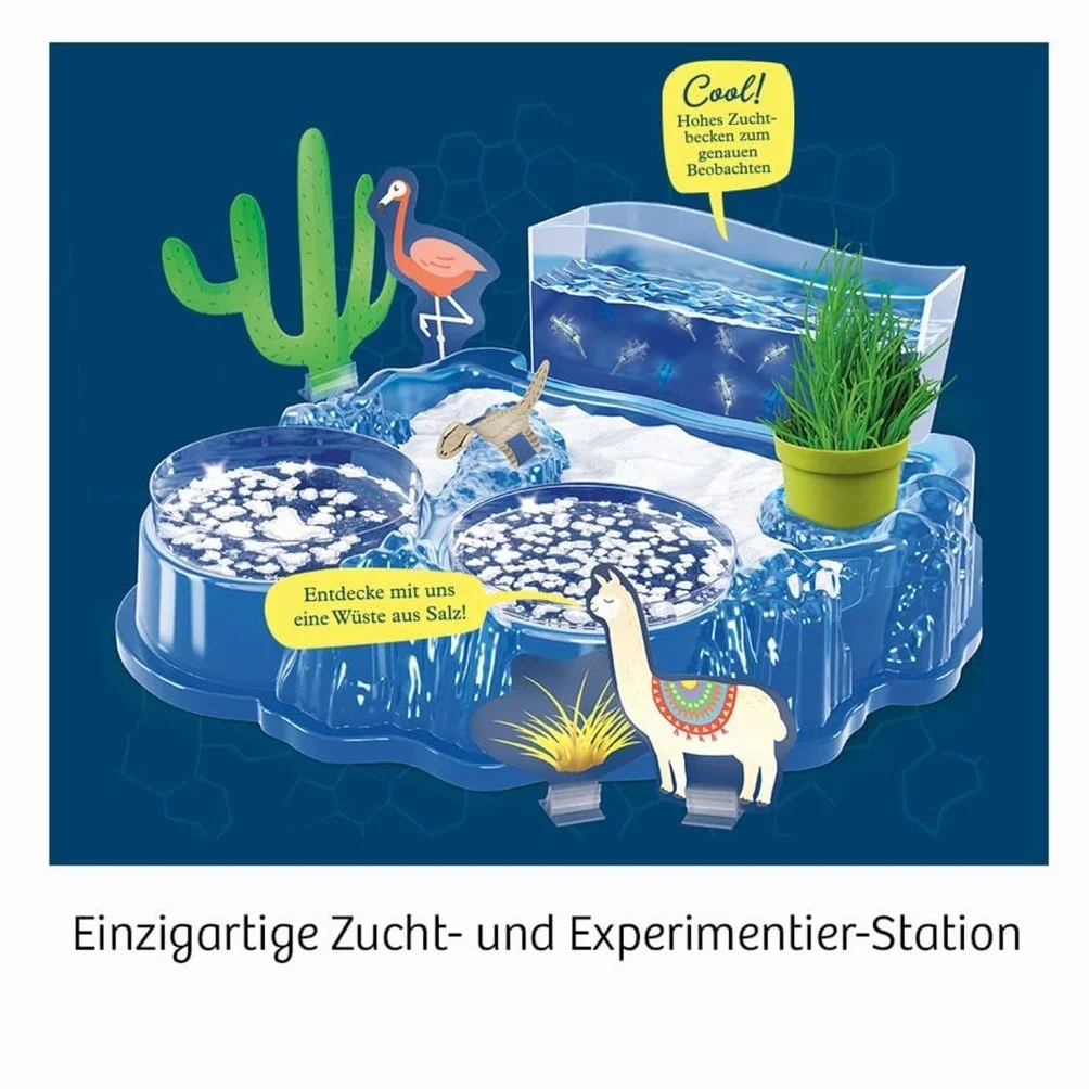 Salzkrebse: Experimentierkasten