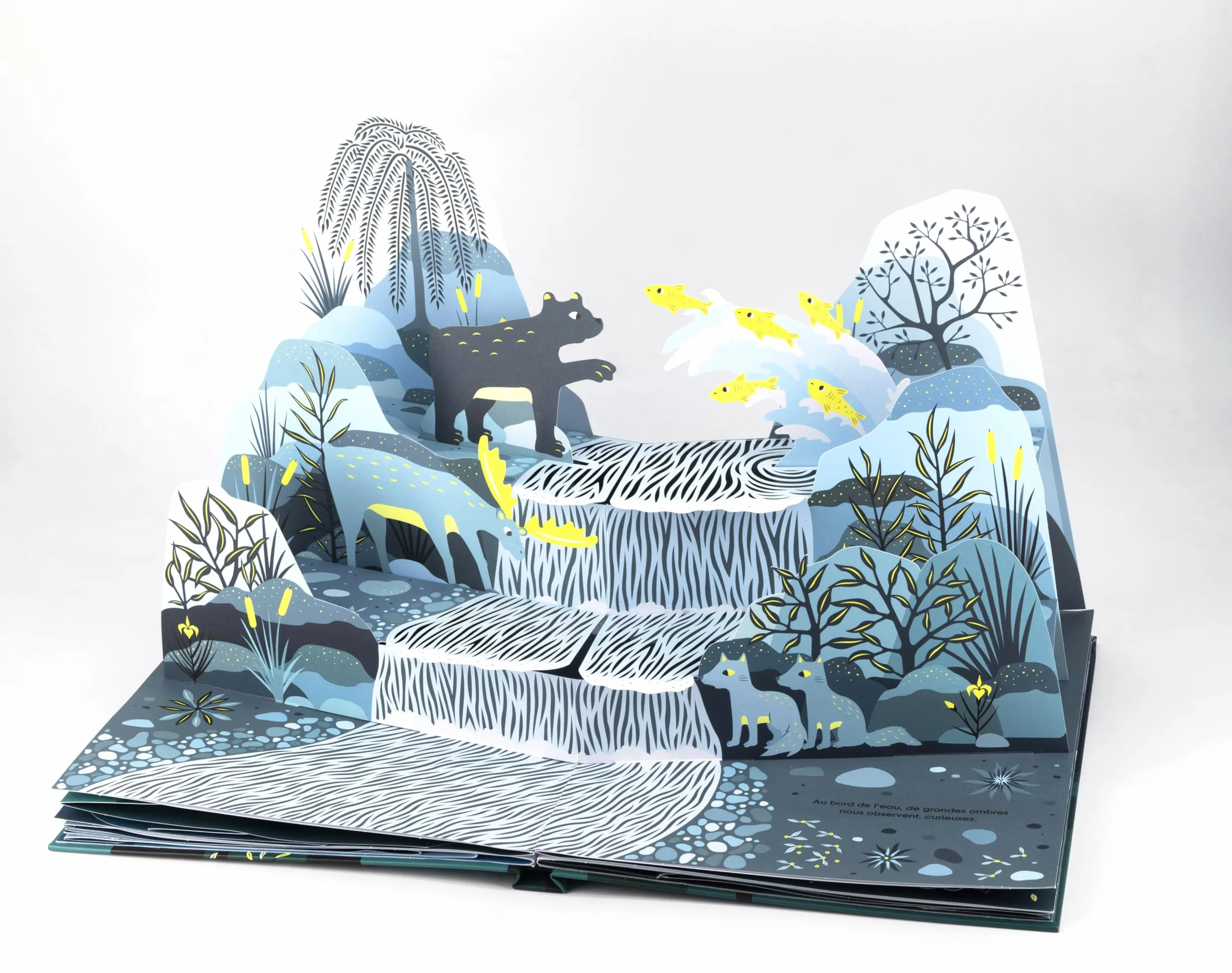 Loups: Livre pop-up