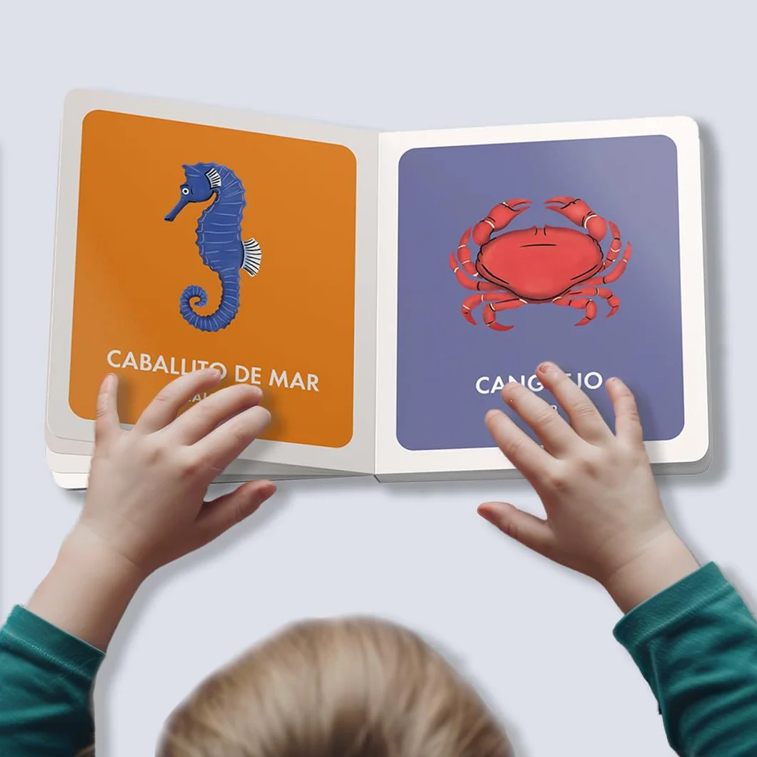 My First Bilingual Library: A Spanish-English Vocabulary Board Book Set of Colors, Numbers, Animals, ABCs, and More: 2