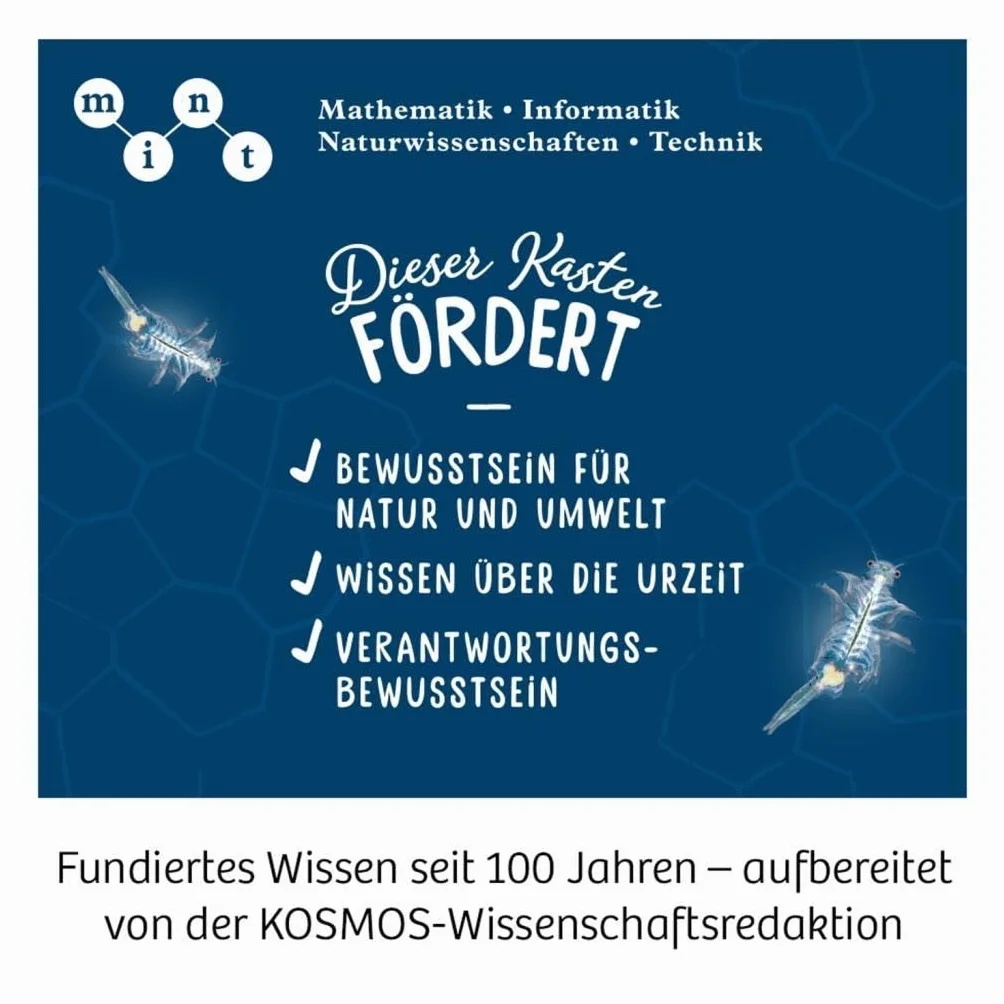 Salzkrebse: Experimentierkasten