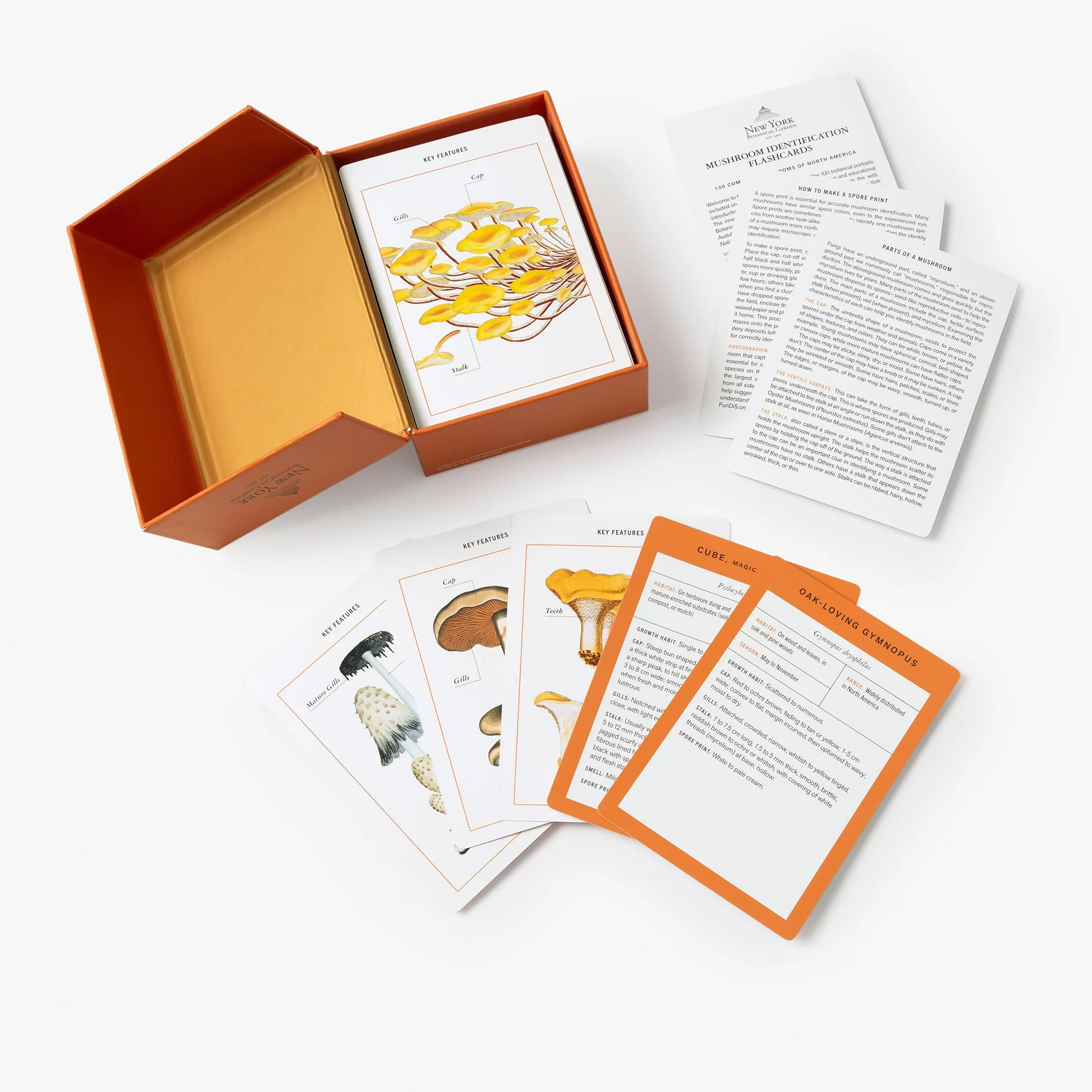 New York Botanical Garden Mushroom Identification Flashcards: 100 Common Mushrooms of North America