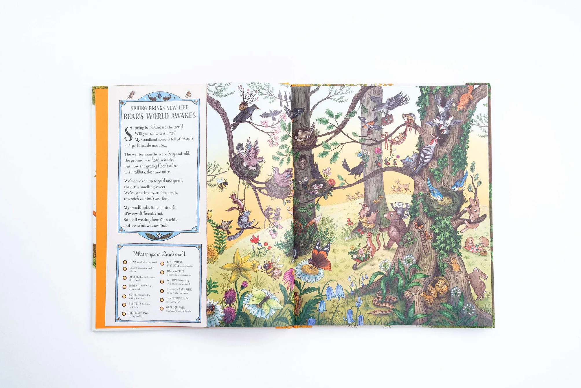 If You Go Down to the Woods Today: More than 100 things to find