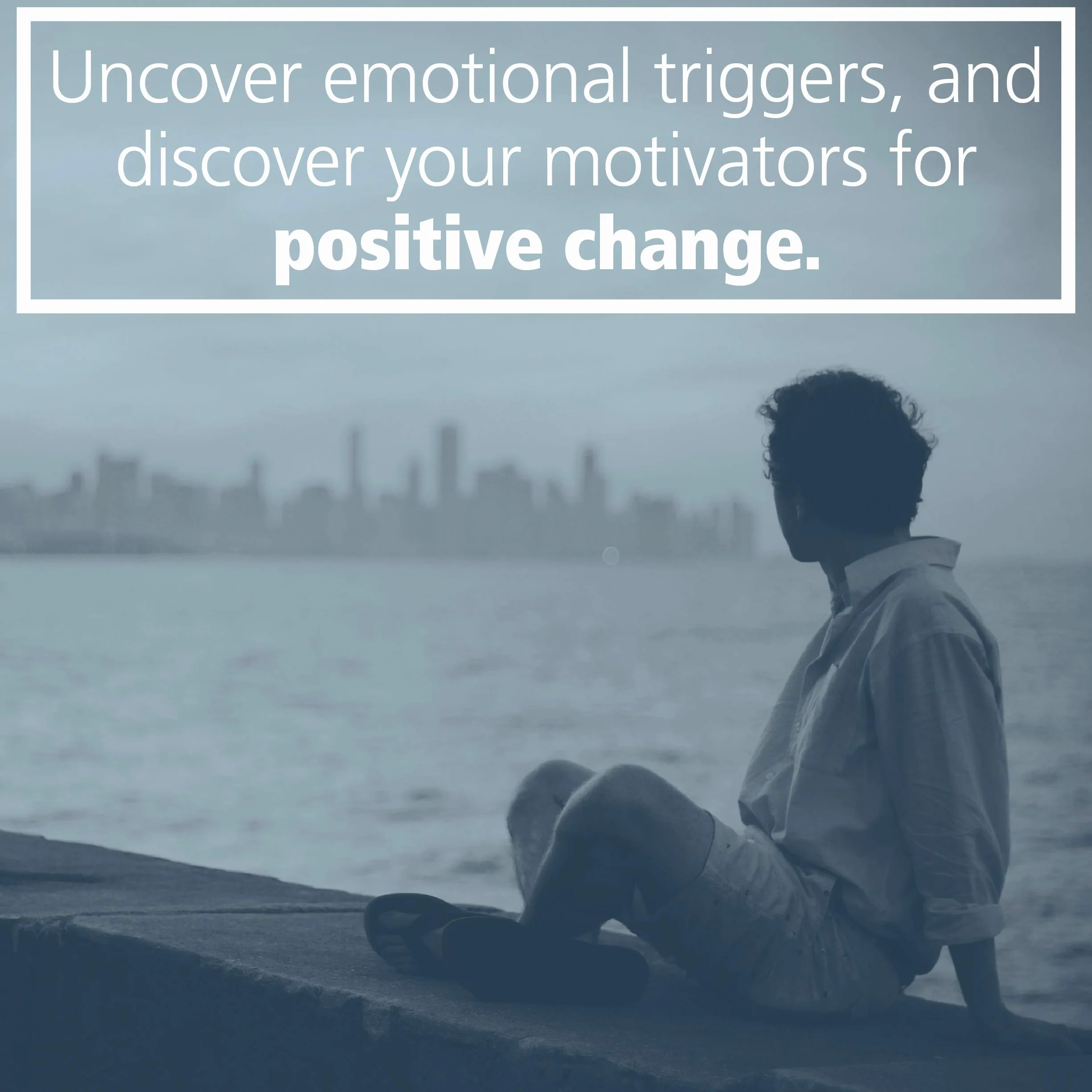 The Borderline Personality Disorder Workbook: An Integrative Program to Understand and Manage Your Bpd