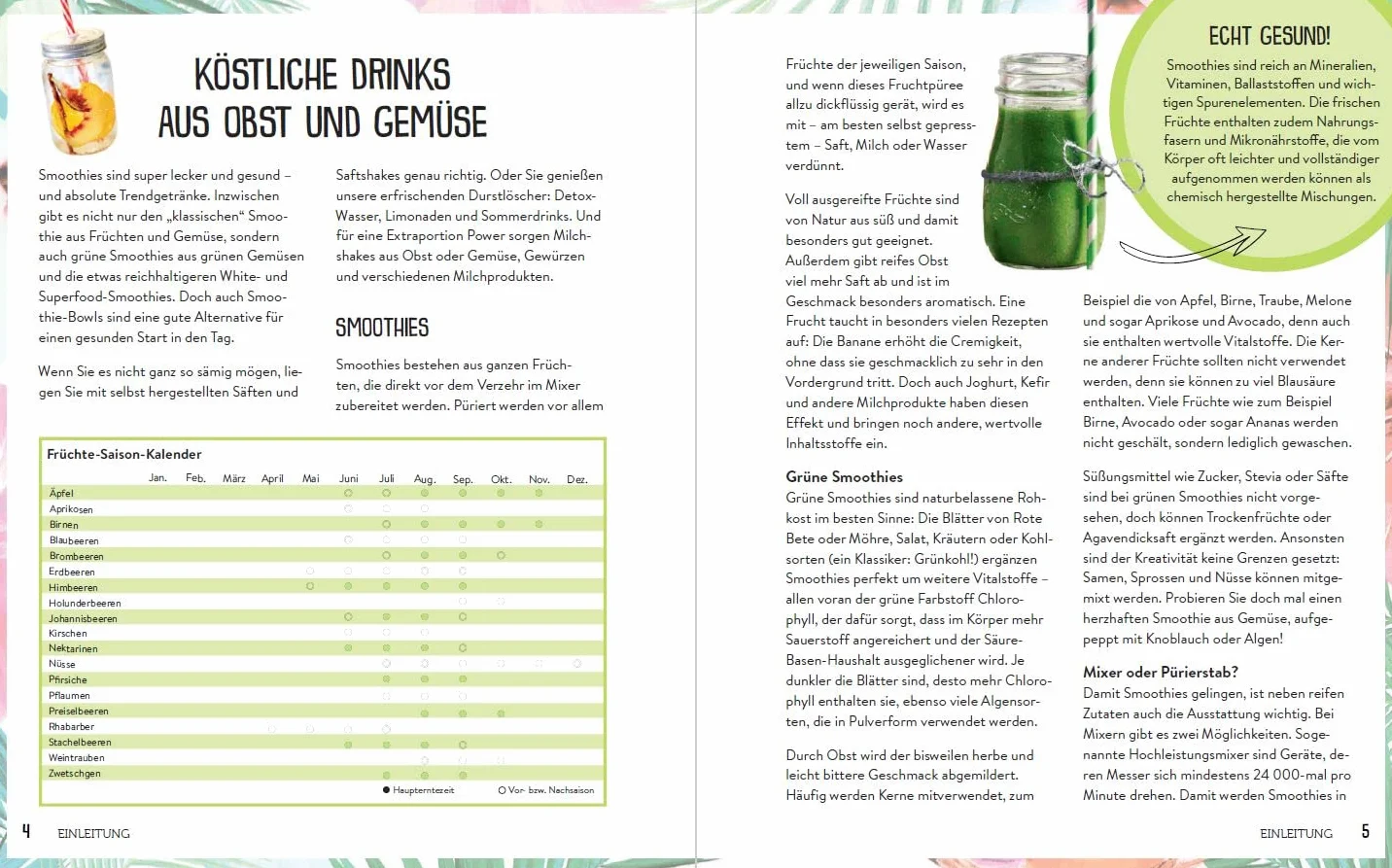 365 Smoothies, Powerdrinks & Co.: Smoothie Buch mit Rezepten für Shakes, Säfte, Limonaden, Detox-Wässer, Smoothie Bowls & Entsafter