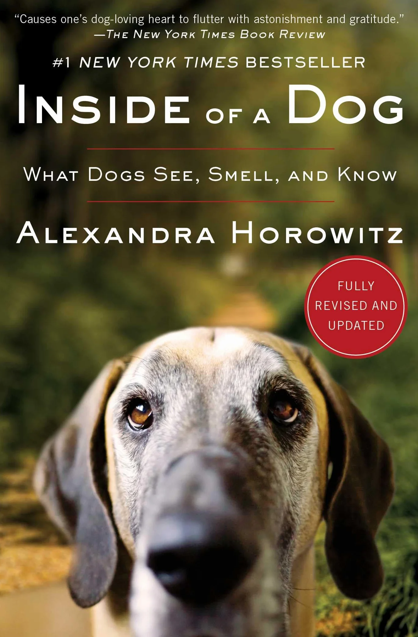 Inside of a Dog: What Dogs See, Smell, and Know