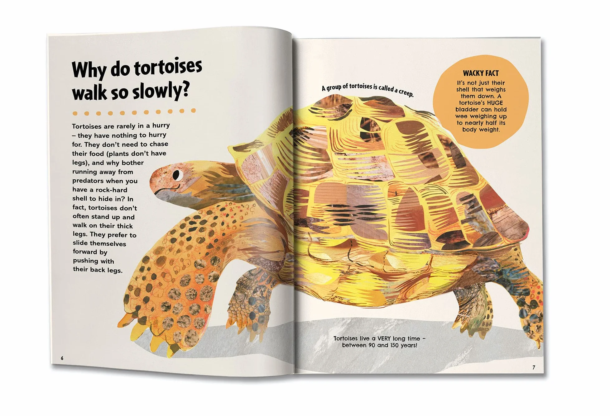 Britannica First Big Book of Why: Why can't penguins fly? Why do we brush our teeth? Why does popcorn pop? The ultimate book of answers for kids who need to know WHY!