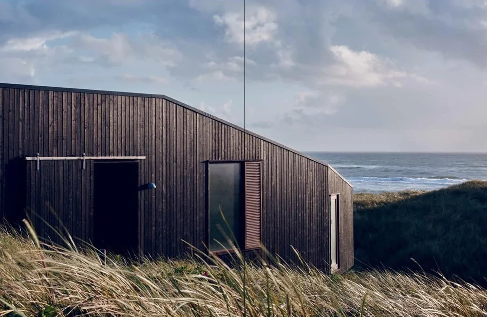 Earth, Sky & Water: Houses in the Nordic Style /anglais