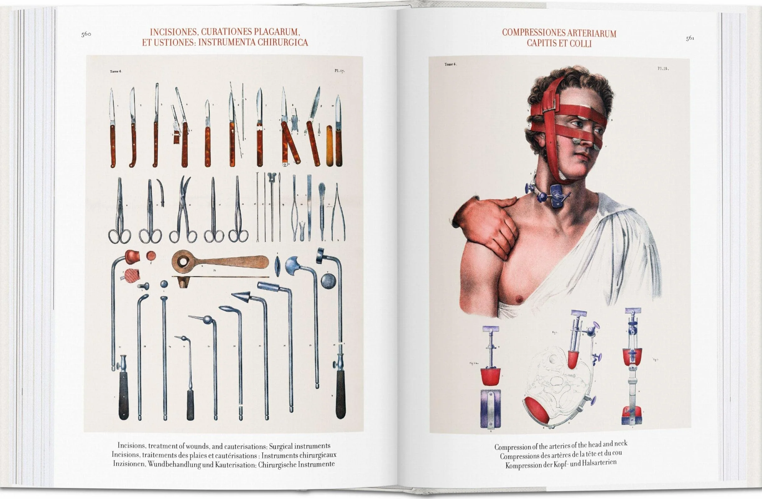 Atlas of Human Anatomy and Surgery