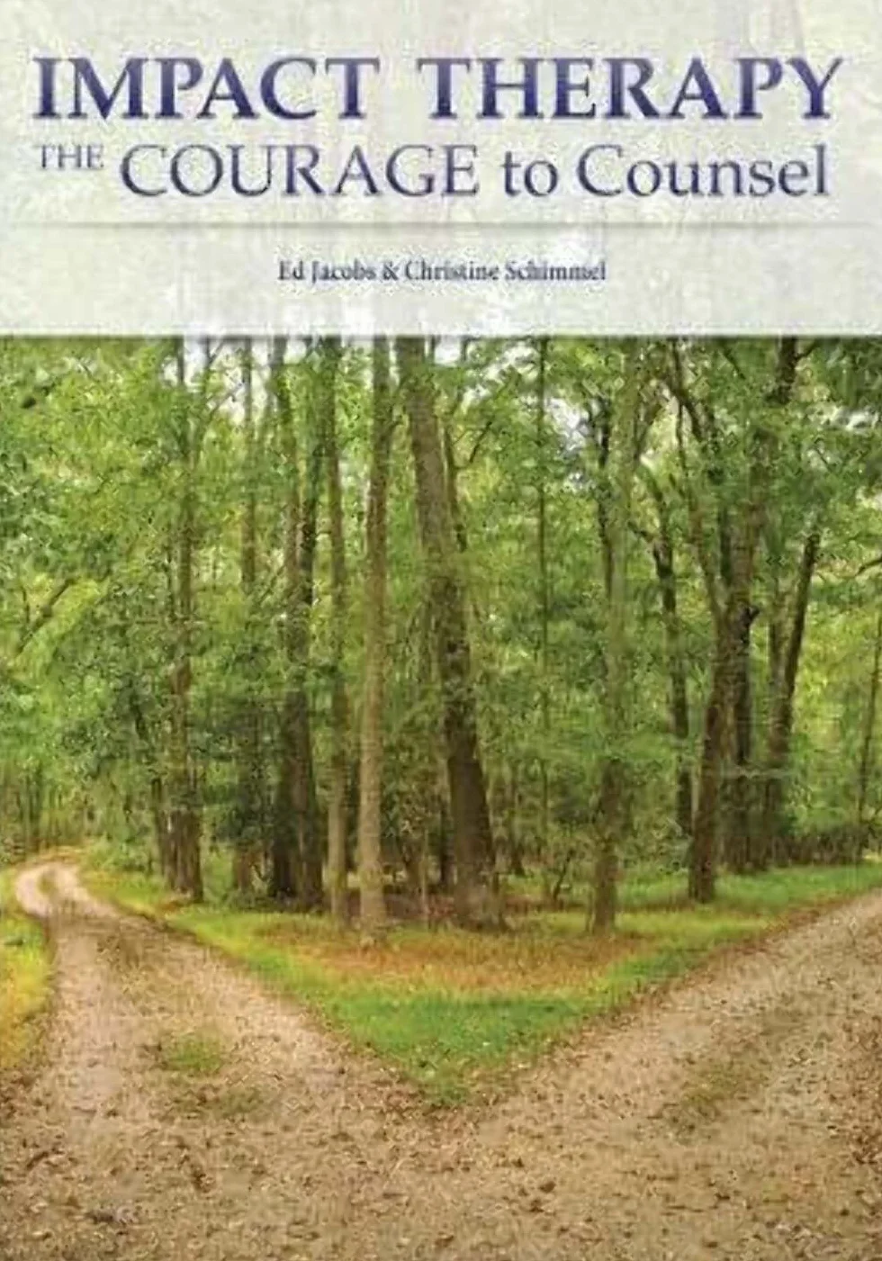 Impact Therapy: The Courage to Counsel