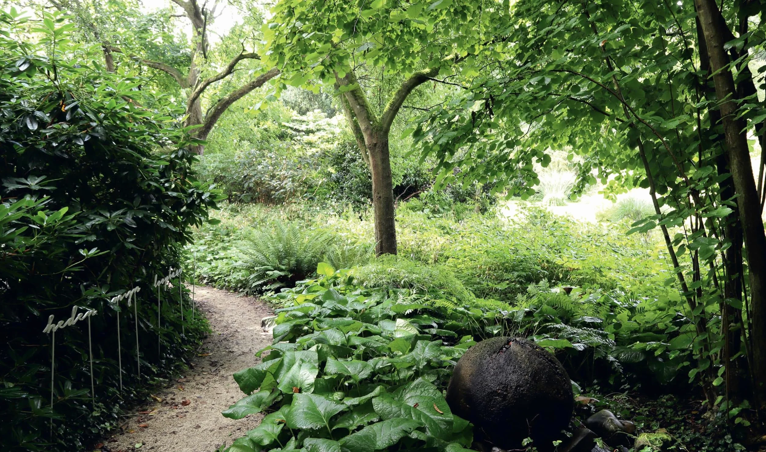The Gardens of Mien Ruys: Strong Design, Lush Planting, and the Origins of the Modernist Garden