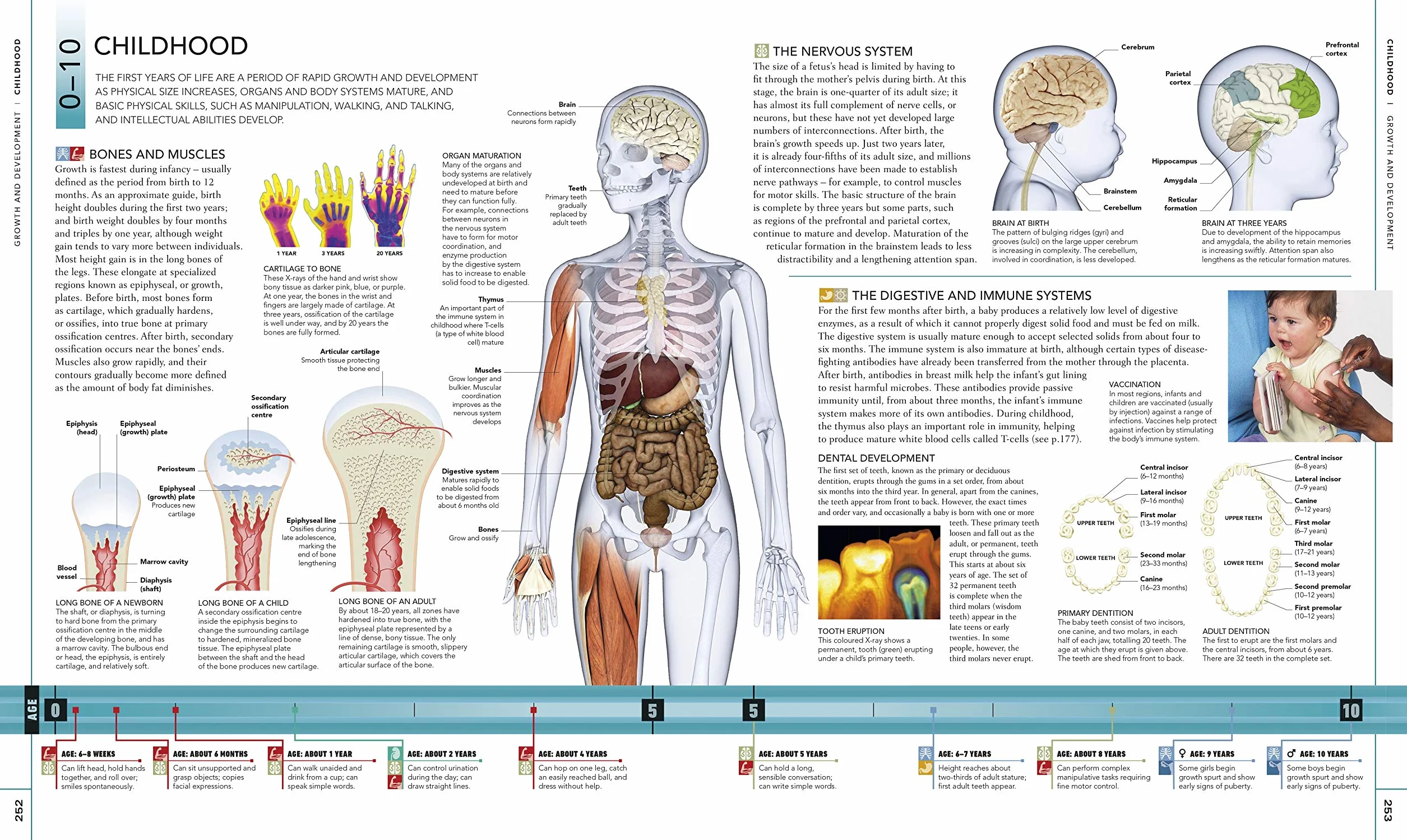 The Human Body Book