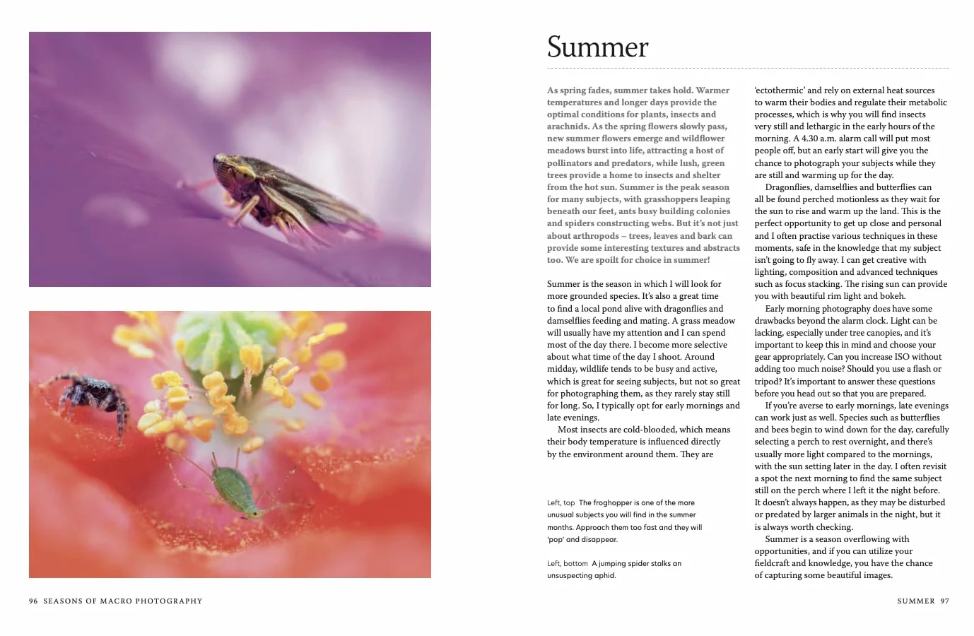 Close-Up: The Complete Guide to Macro Photography