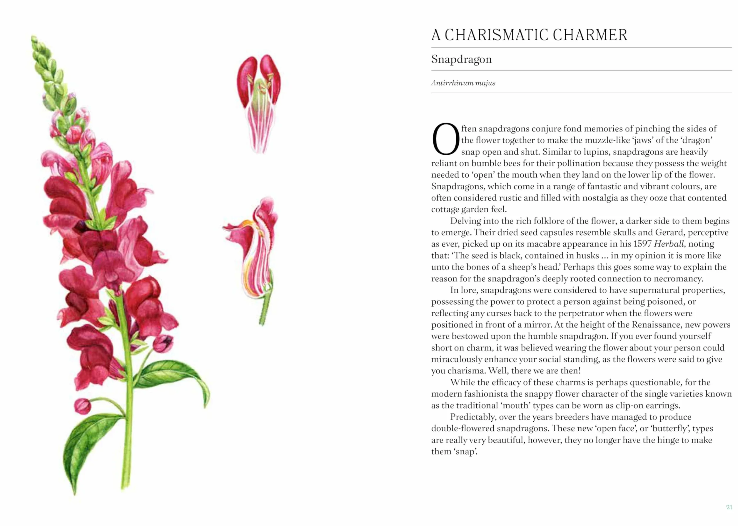 A Short History of Flowers: The Stories That Make Our Gardens