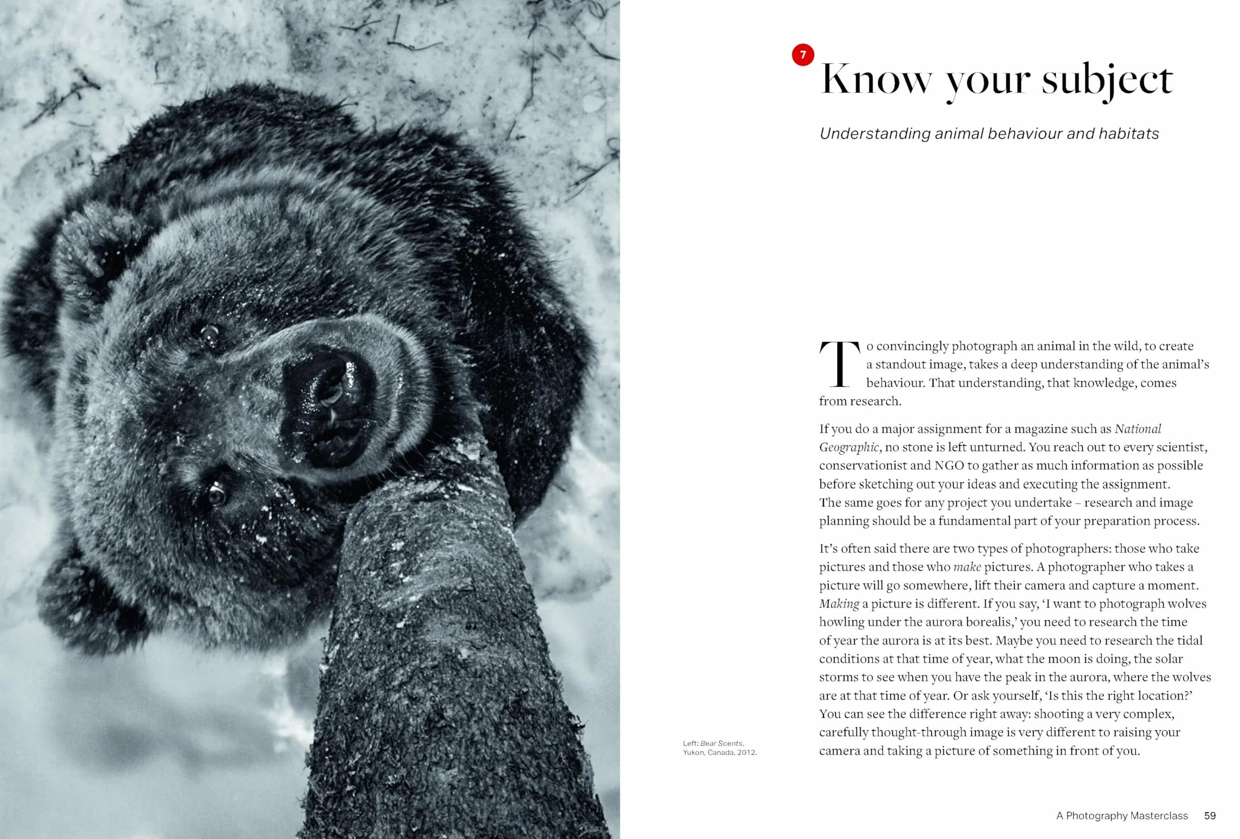 Paul Nicklen: A Photography Masterclass