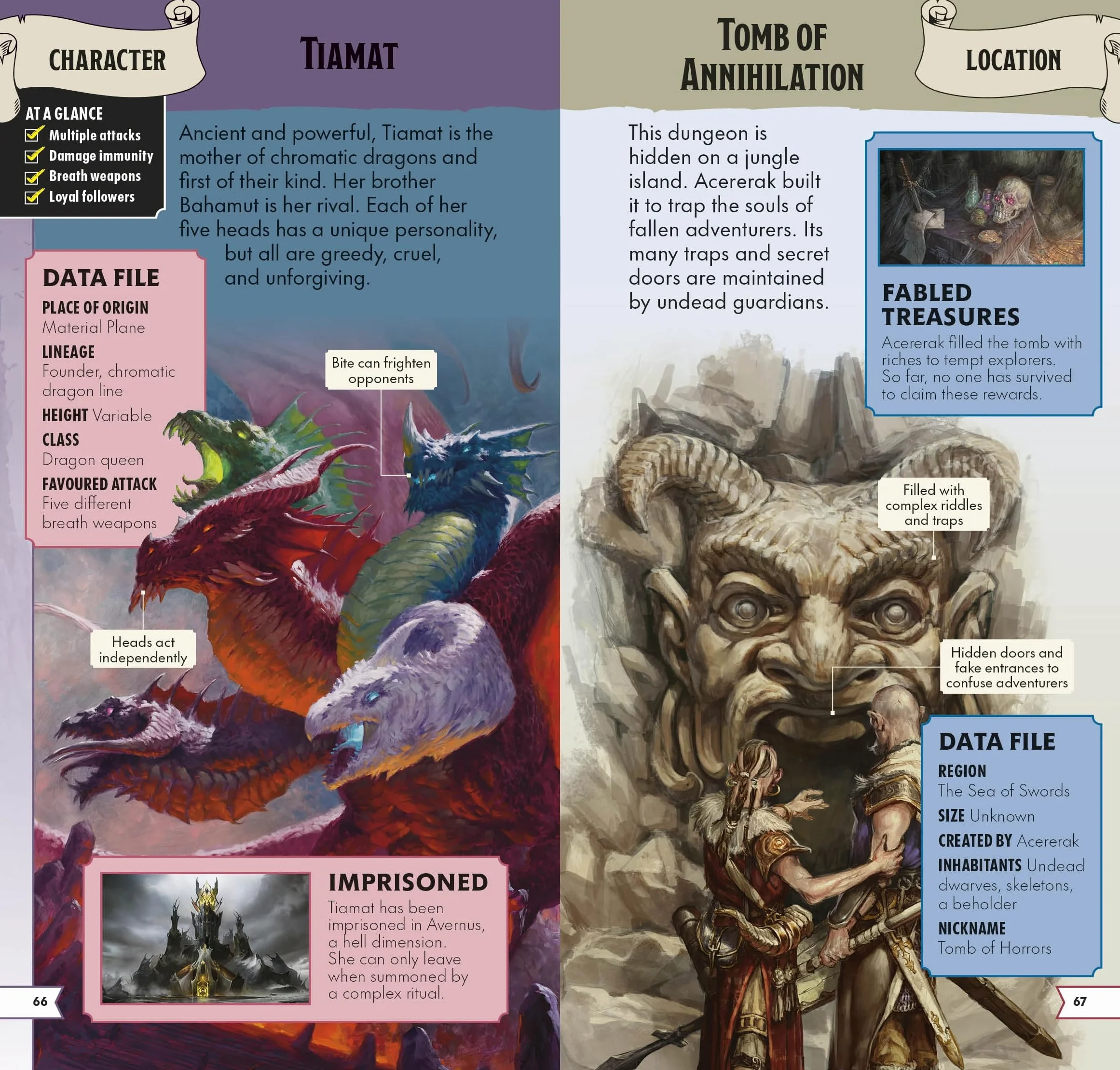 Dungeons & Dragons Pocket Expert