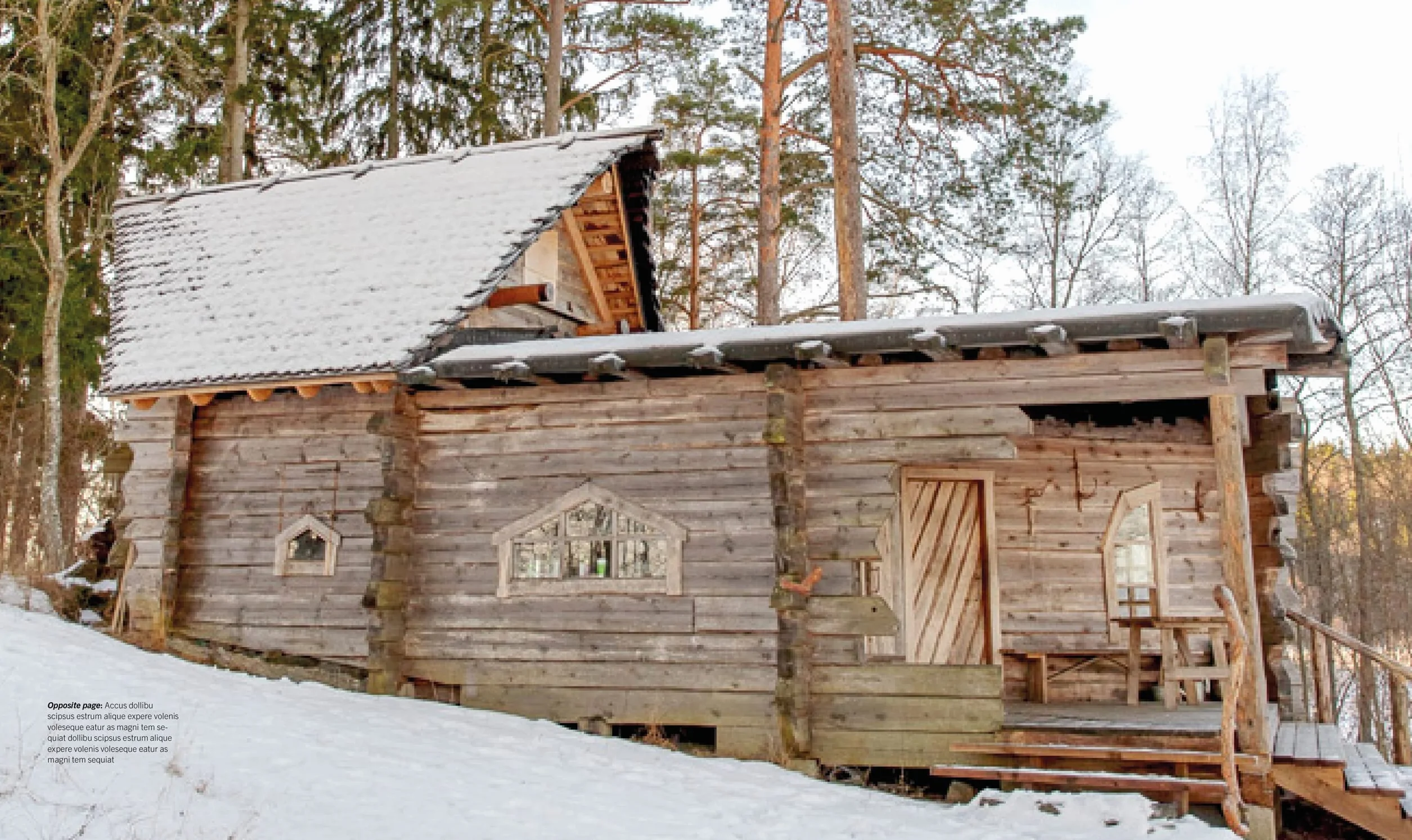 Sauna life: The Power of Deep Heat