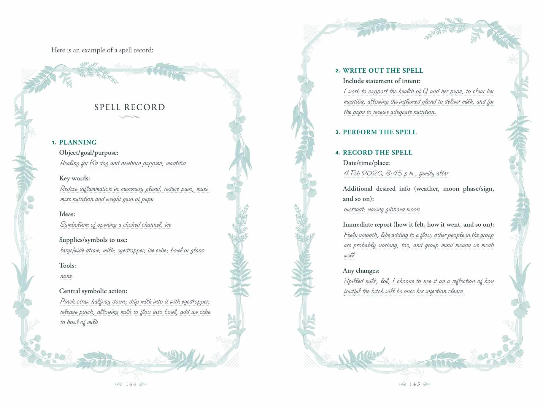 The Green Witch's Grimoire: Your Complete Guide to Creating Your Own Book of Natural Magic