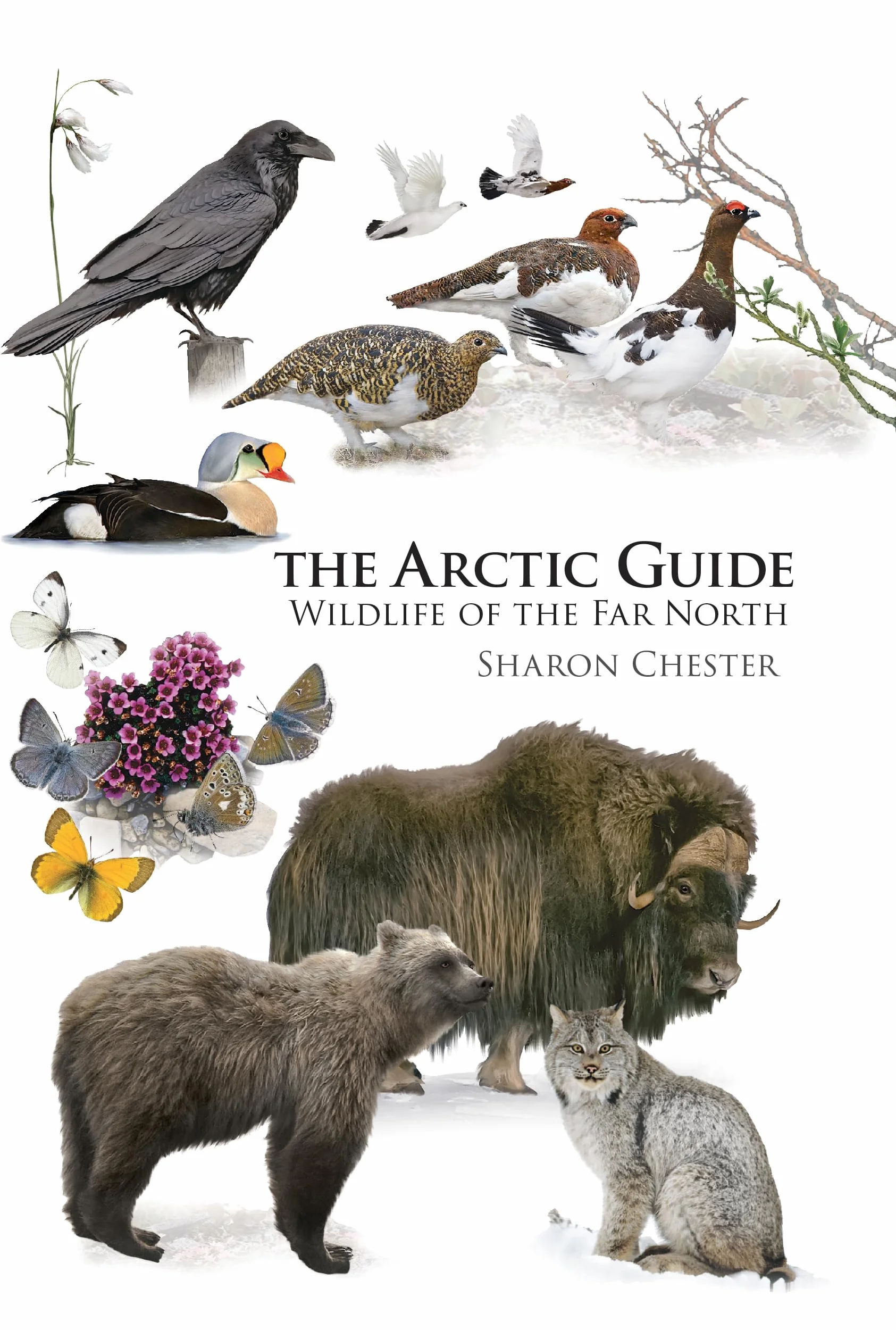 The Arctic Guide: Wildlife of the Far North: 109