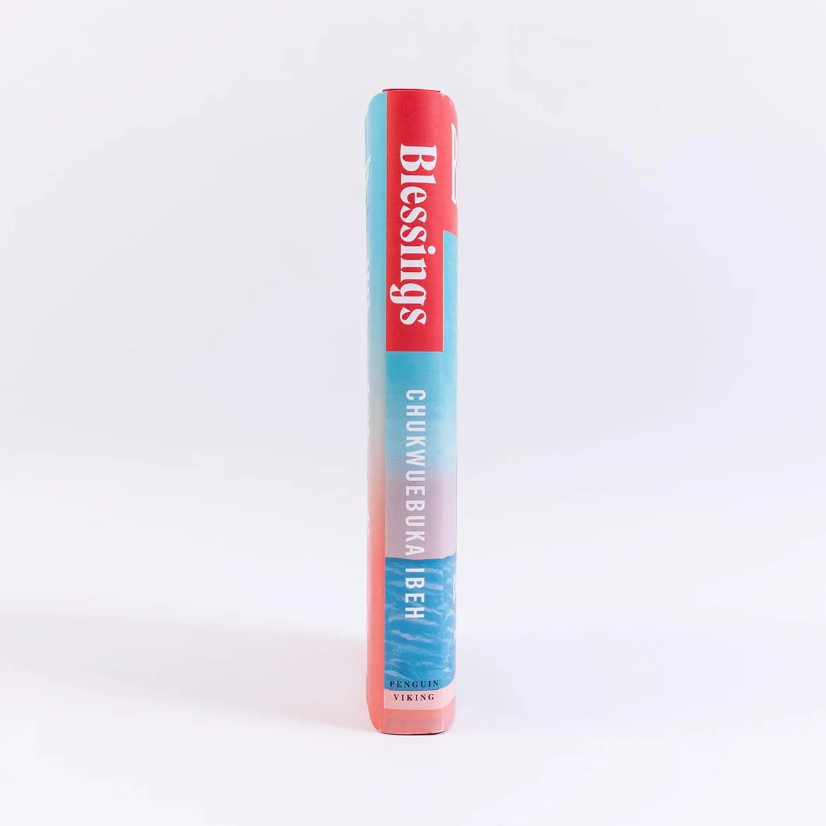 Blessings: ‘A sublime coming-of-age tale’ Guardian