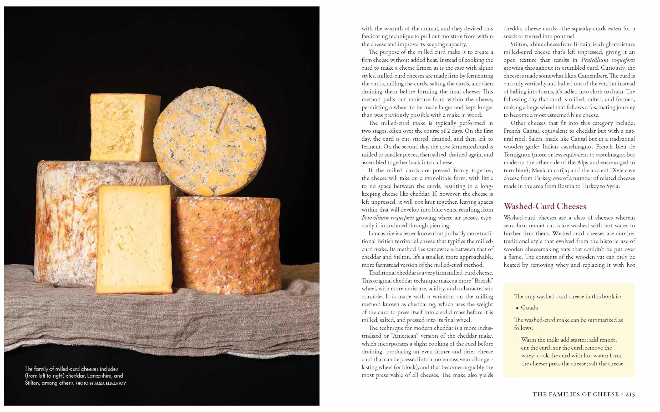 Milk Into Cheese: The Foundations of Natural Cheesemaking Using Traditional Concepts, Tools, and Techniques