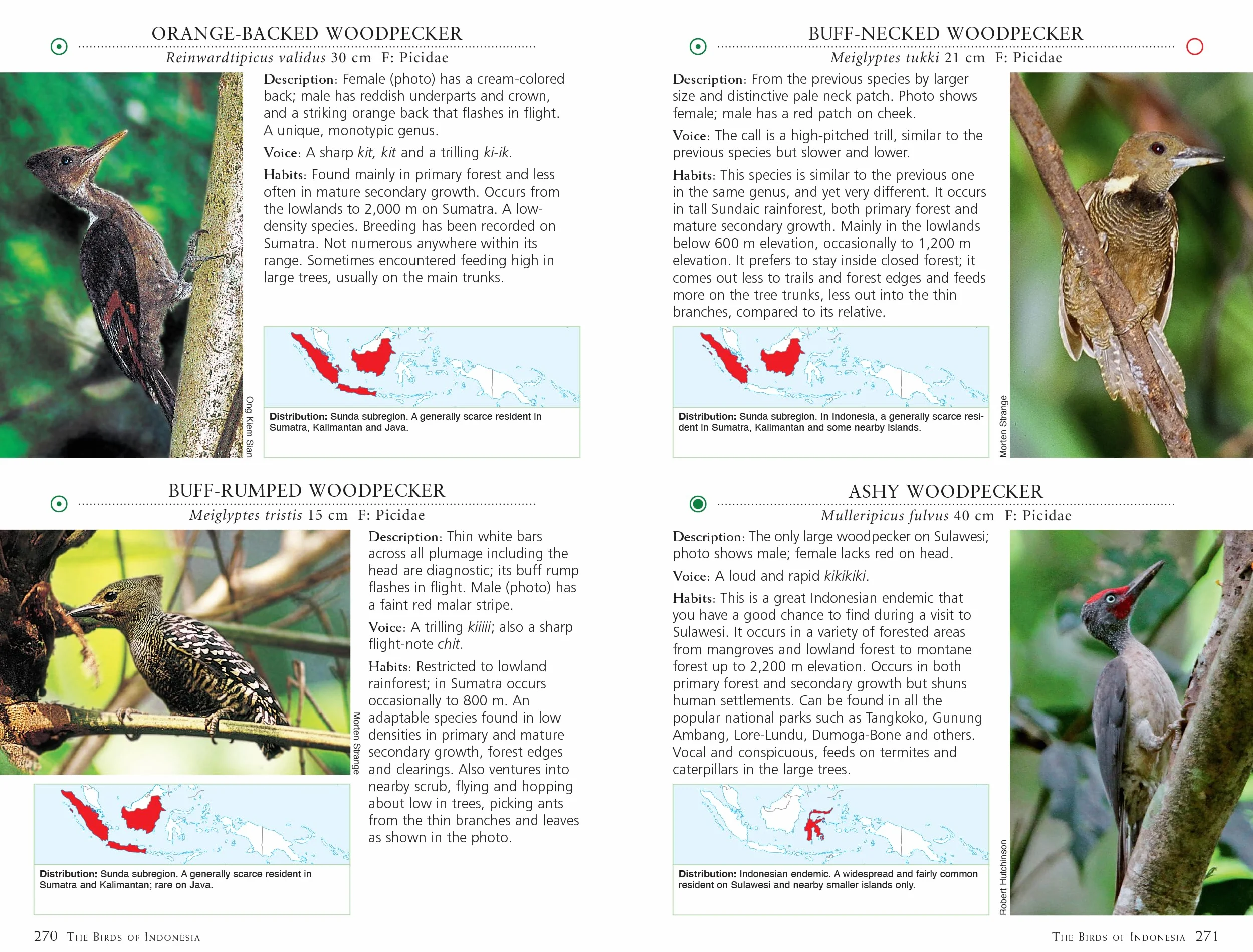 A Photographic Guide to the Birds of Indonesia: Updated Second Edition